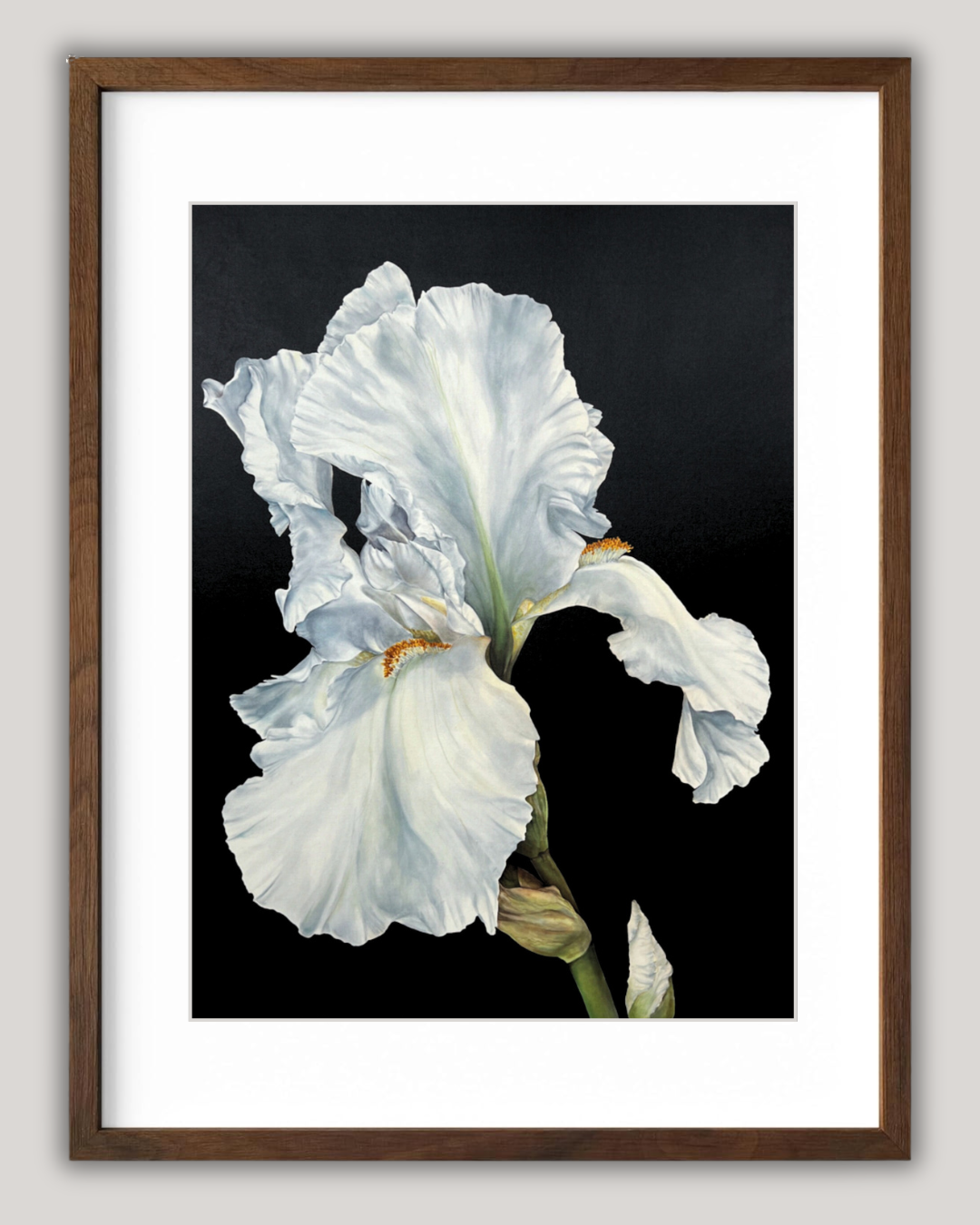 Wisdom Fine Art Print