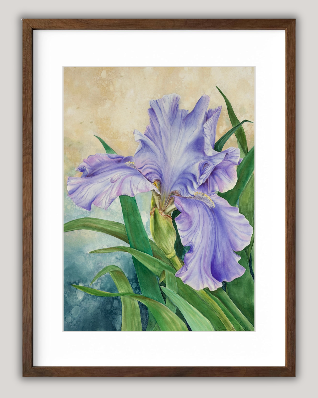 Song of the Iris Fine Art Print