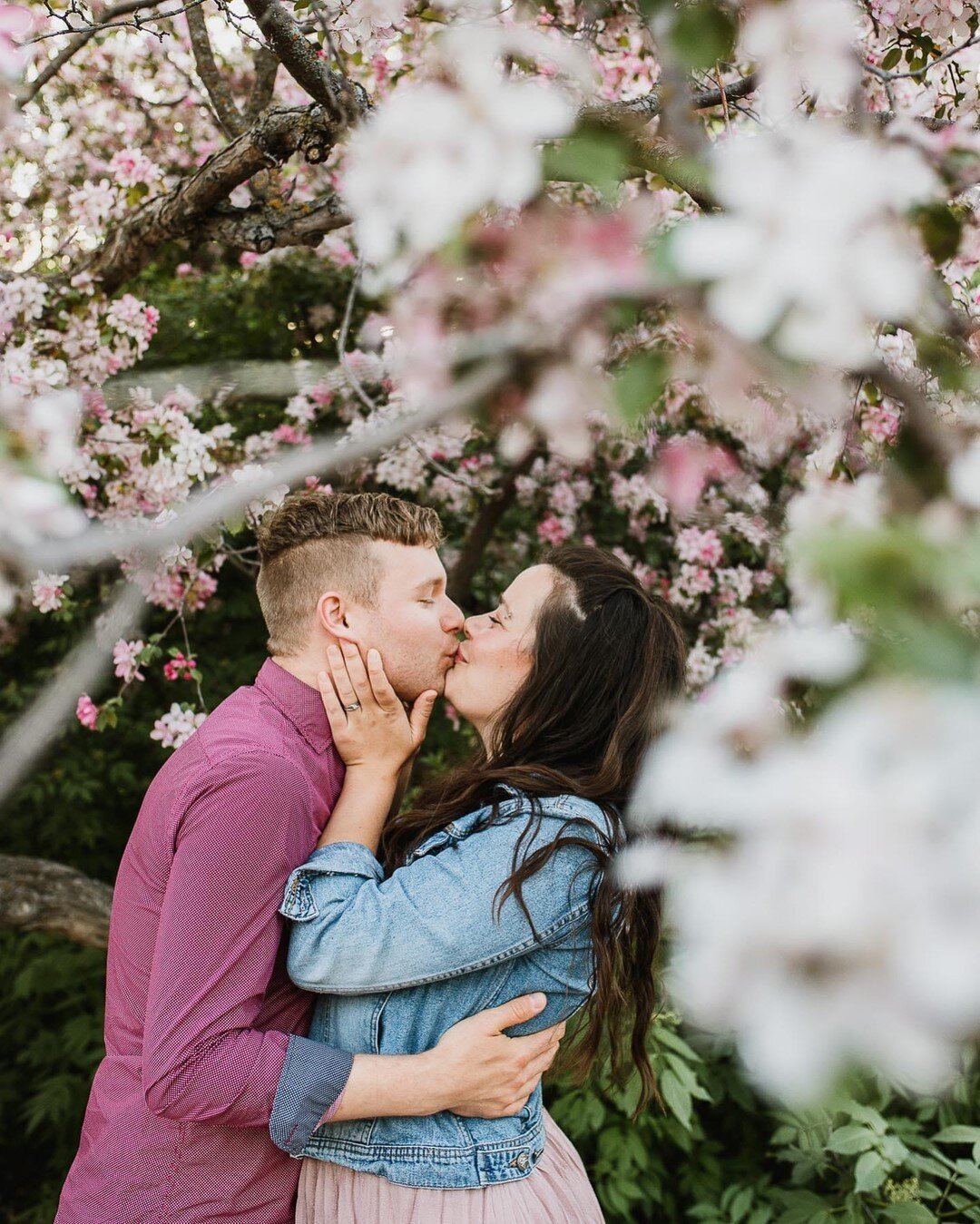 Happy Monday! Today is a busy one. I&rsquo;m hoping between homeschooling and work I will be able to find the time to enjoy all the wonderful spring colours and make myself a lilac bouquet from our yard. Fresh flowers in the house seem to bring mysel