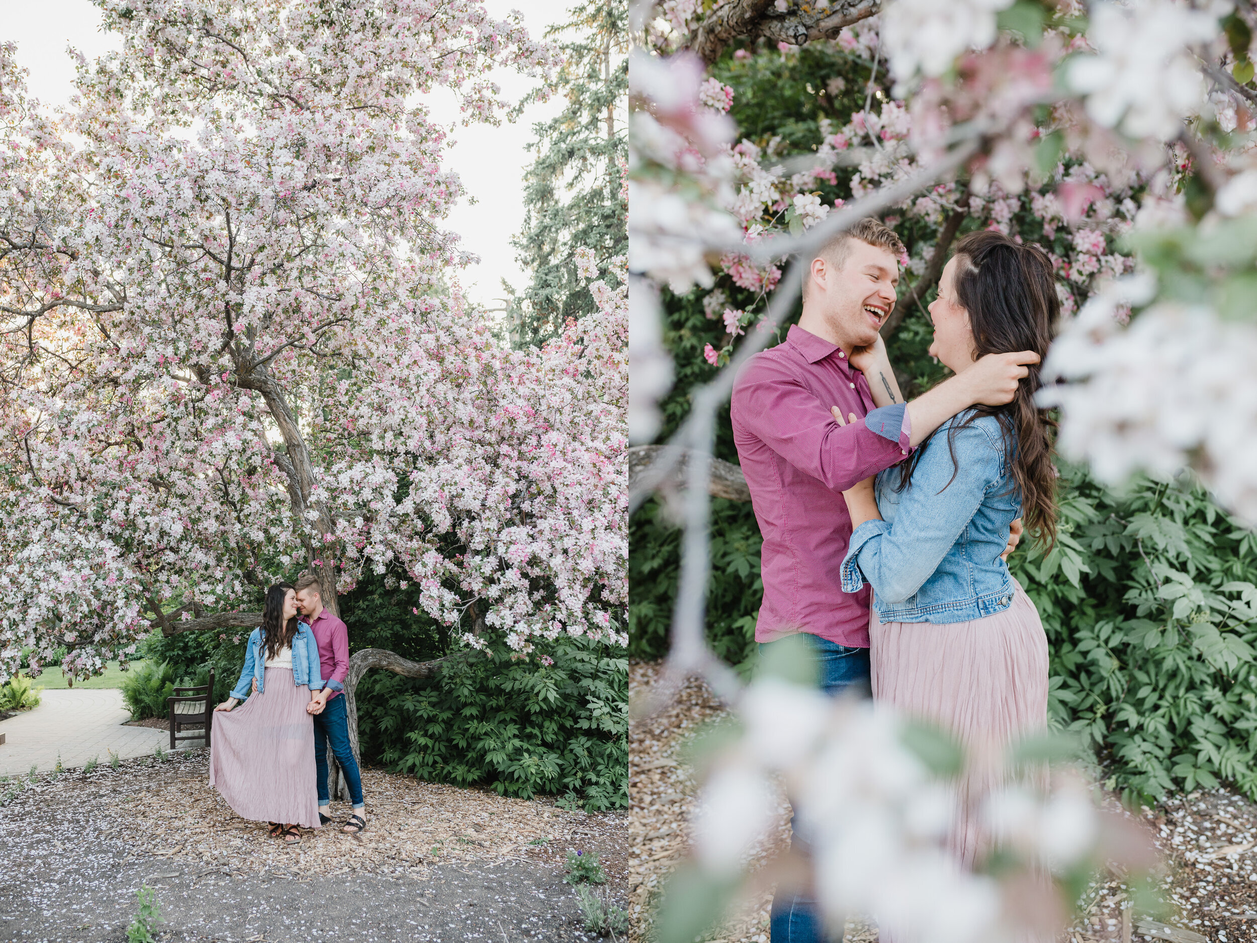 190604++gardens++250.jpg