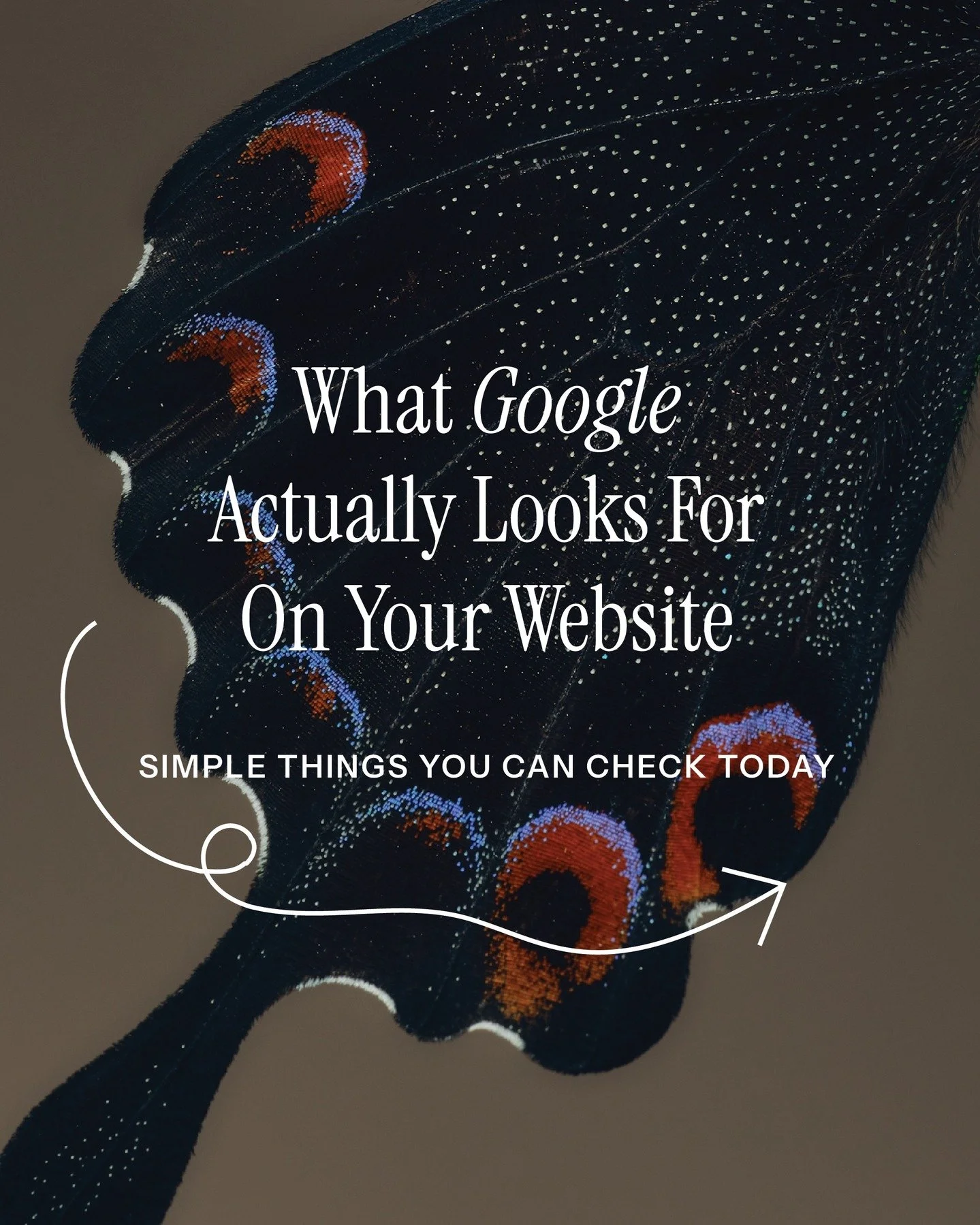 Ever wonder what actually matters to Google when it decides which websites show up first? 
It’s not about fancy tricks or “hacking the algorithm” -- it’s about making your site useful, trustworthy, and easy to use.
In this p