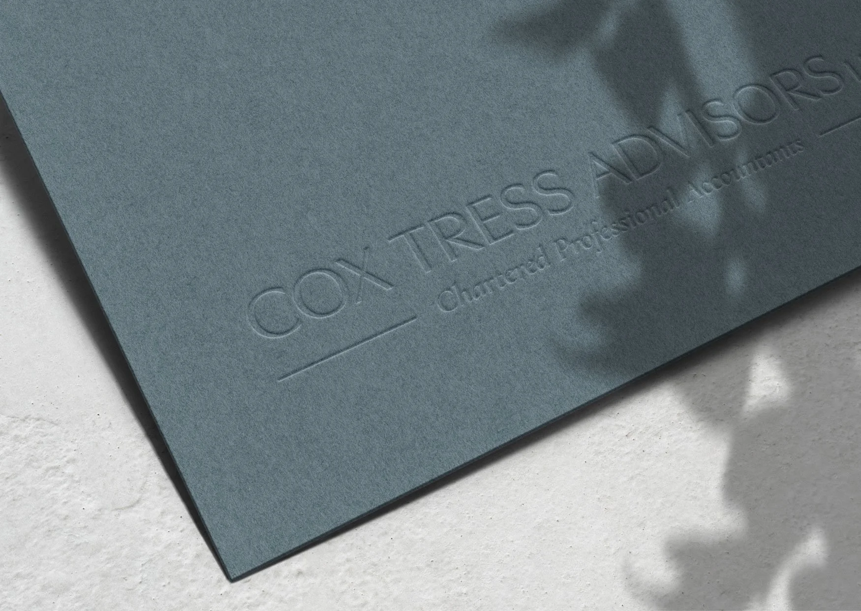 Cox Tress Advisors LLP Website Design Case Study