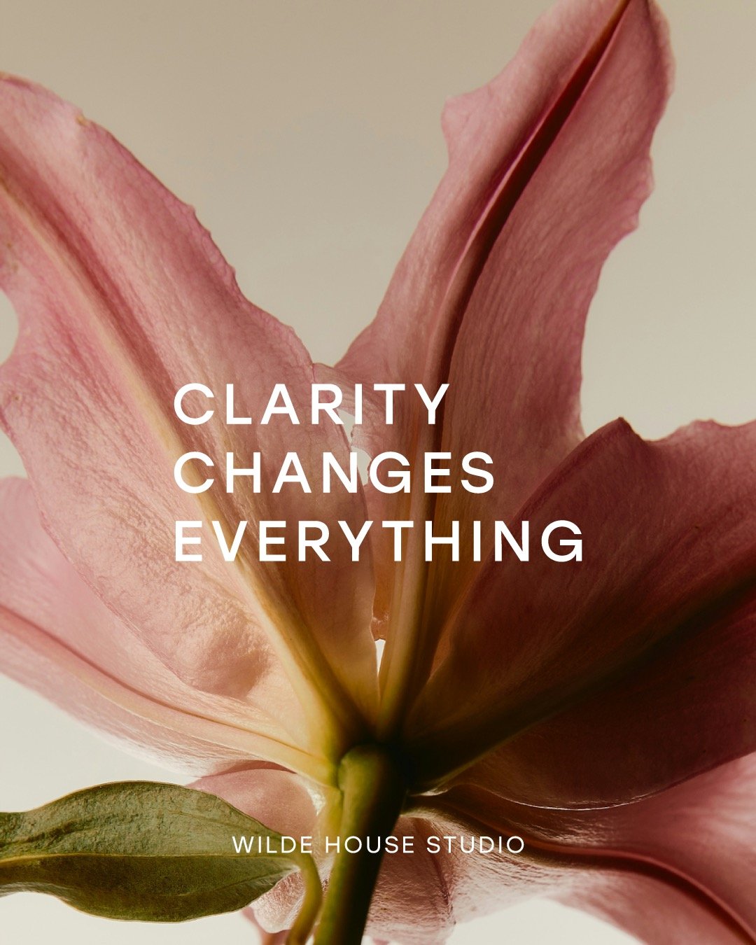 If your brain still feels half in holiday mode, you&rsquo;re not behind.

January doesn&rsquo;t need a hard reset.
It needs direction.

Clarity comes from understanding where your business is headed before making more decisions, more content, more no