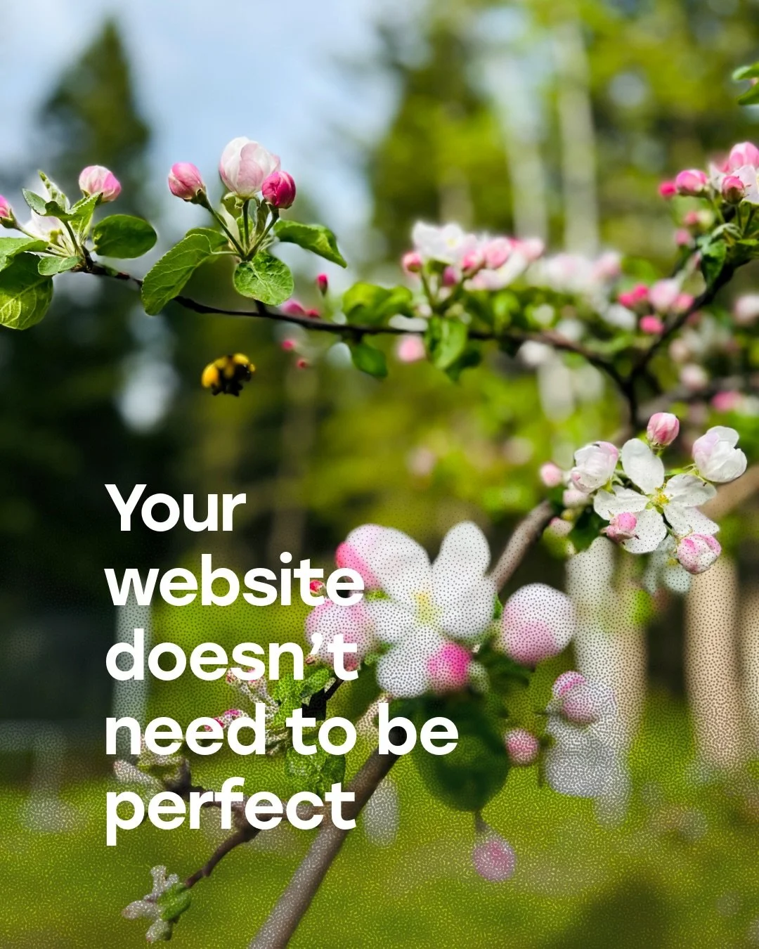 I think a lot of people wait until their website feels &ldquo;done&rdquo; before putting it out into the world. But honestly the best websites usually grow slowly alongside the business itself. Clarity matters way more than perfection 💫