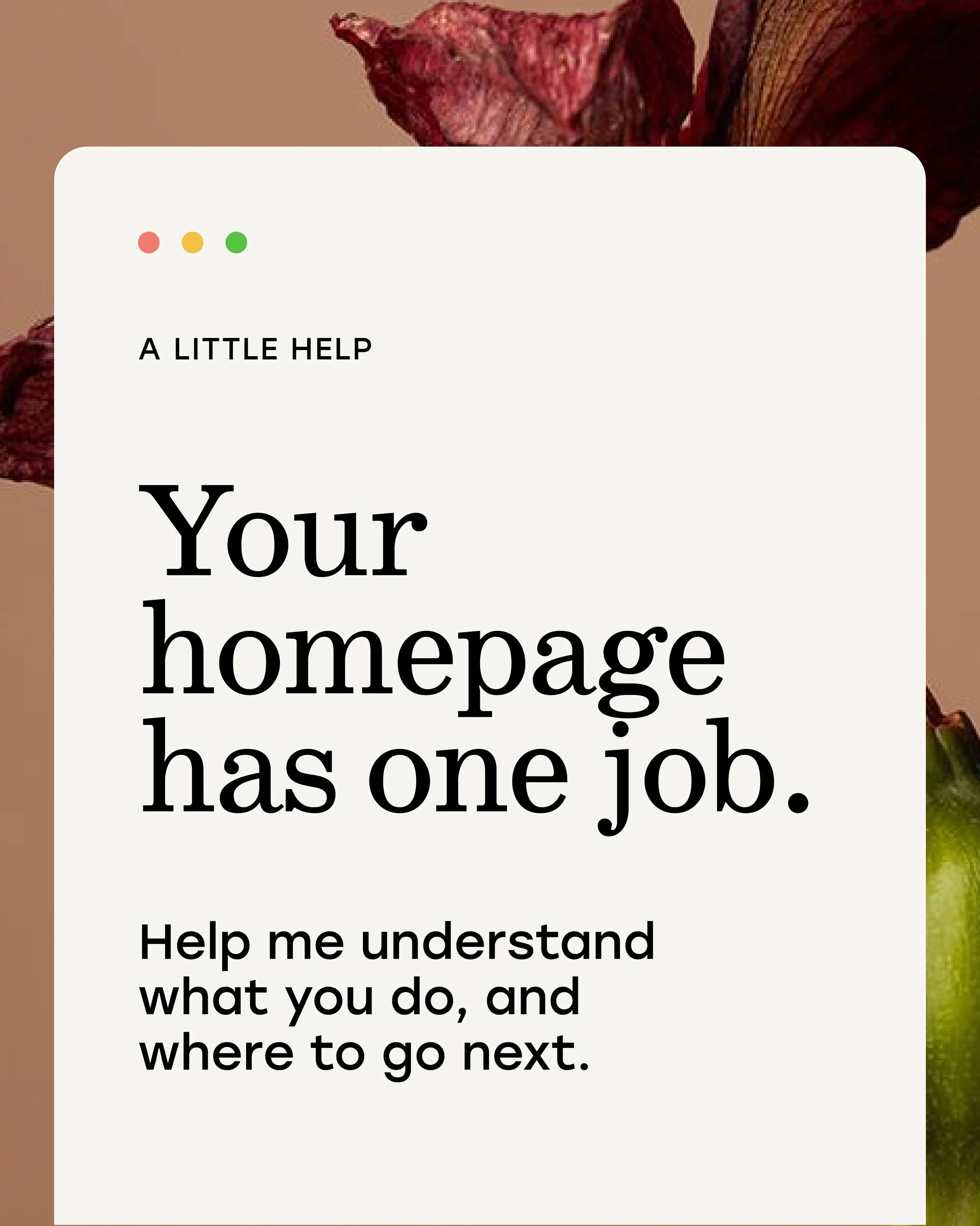 Something I notice a lot with websites is we try to make the homepage do everything, but sometimes the most important part gets missed right at the top. Your hero section is doing a lot of the heavy lifting. Before someone even scrolls they should ha