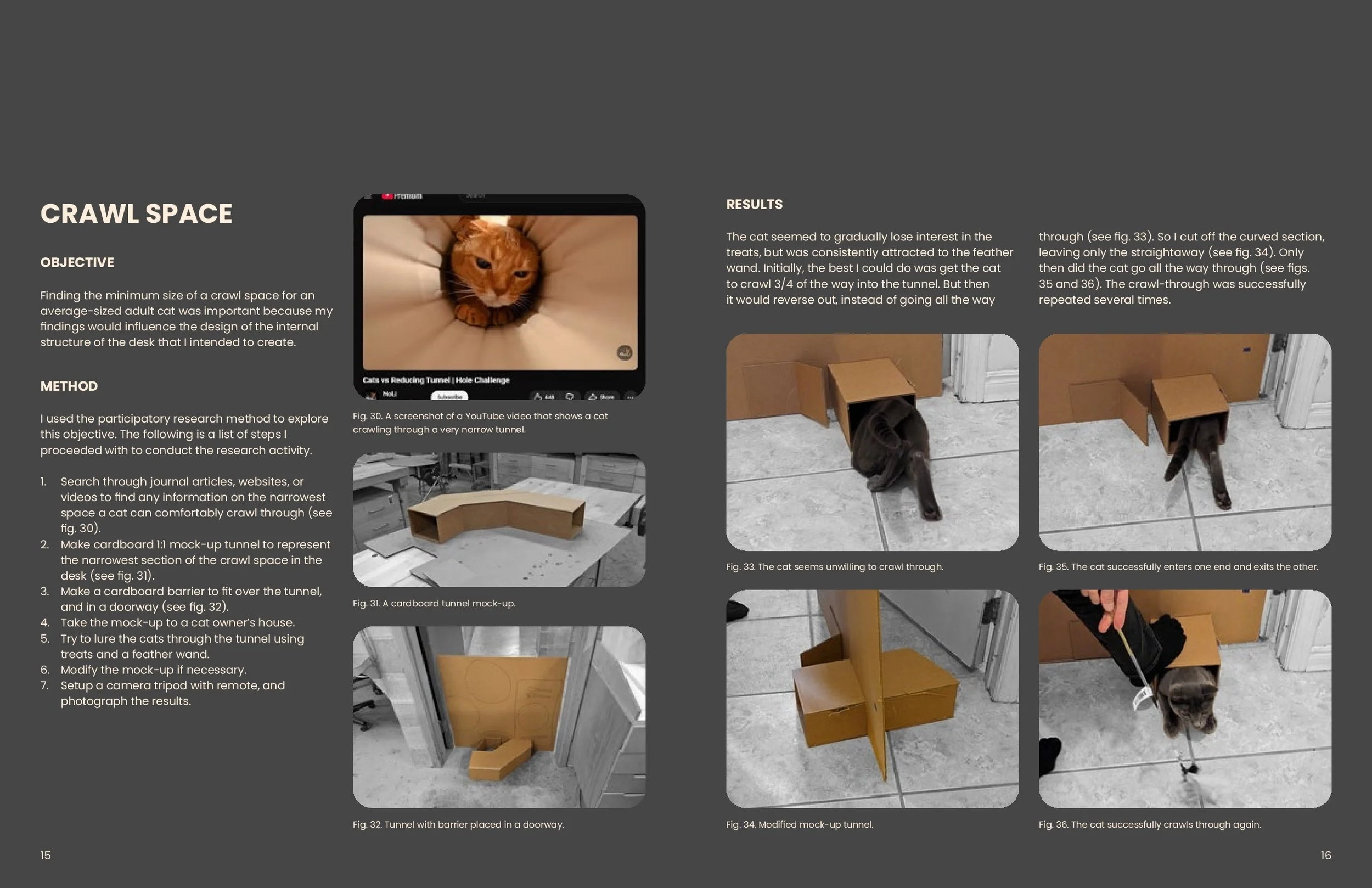 capstone-10.jpg
