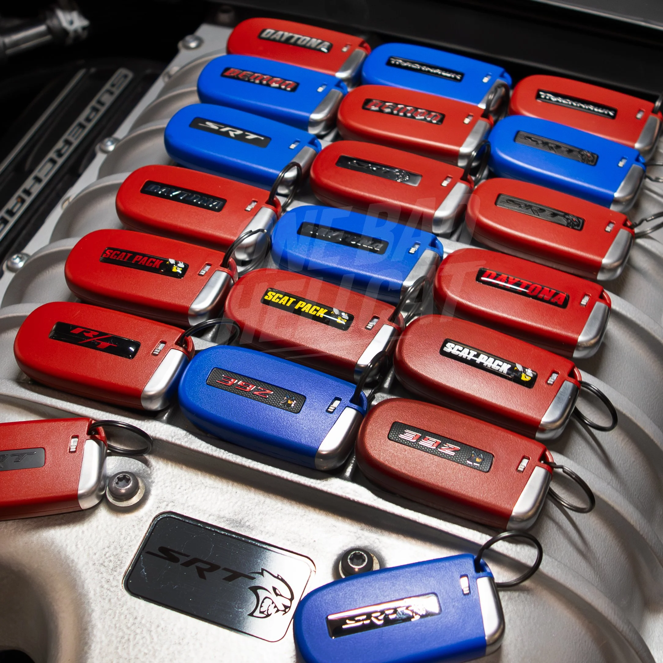 DSC_4715 cropped 1 mark.jpg