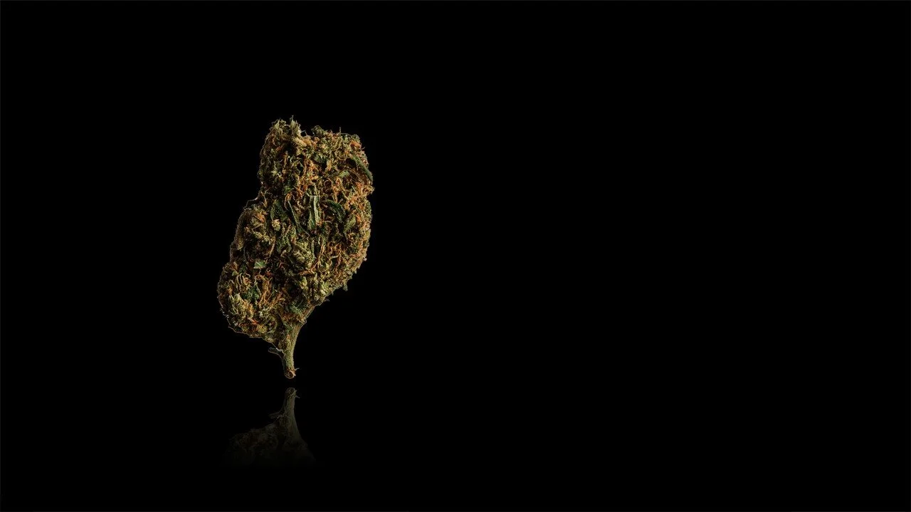 Home Page Image 3.jpg