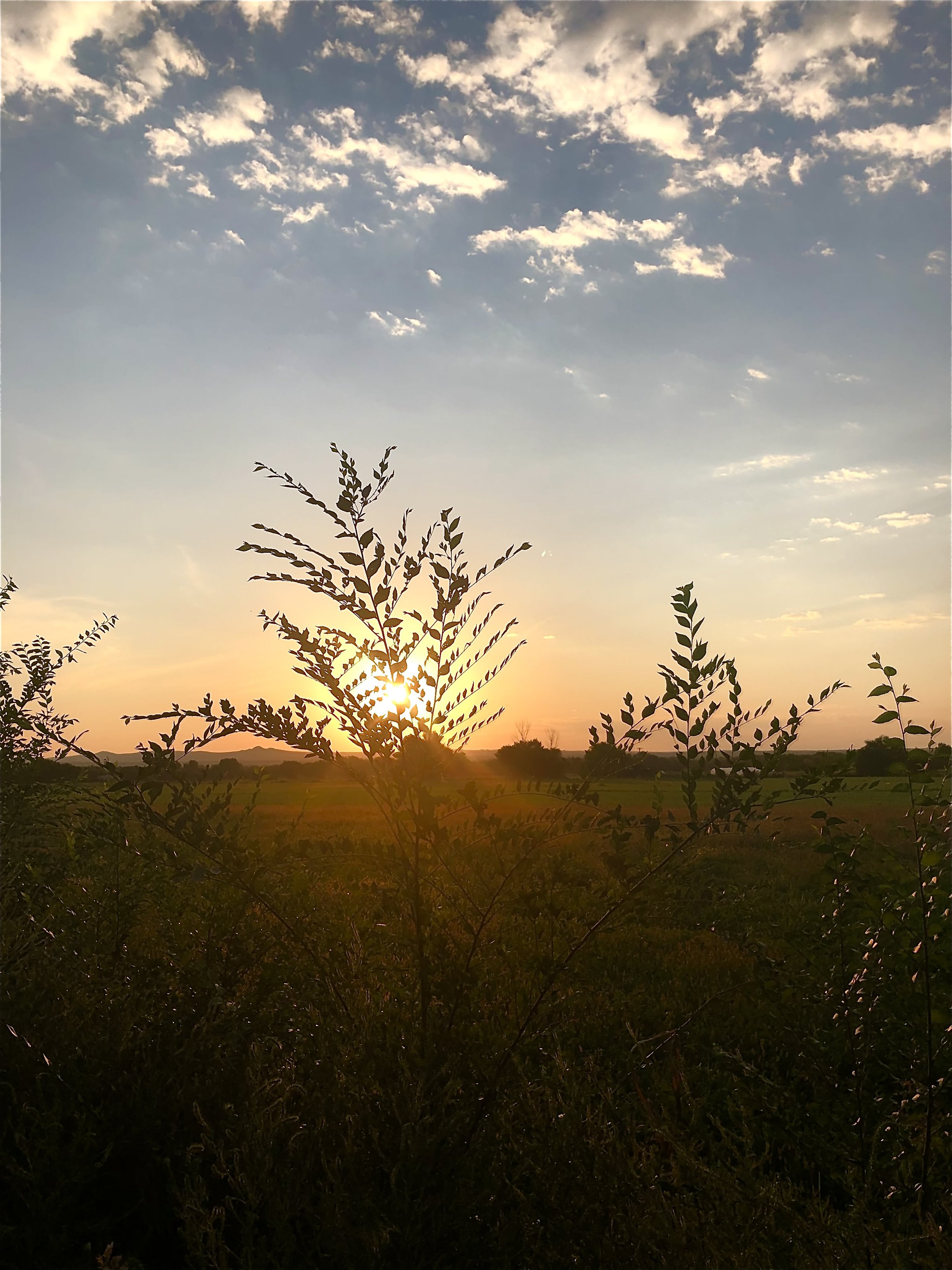 Two ways to engage in a Daily Pause