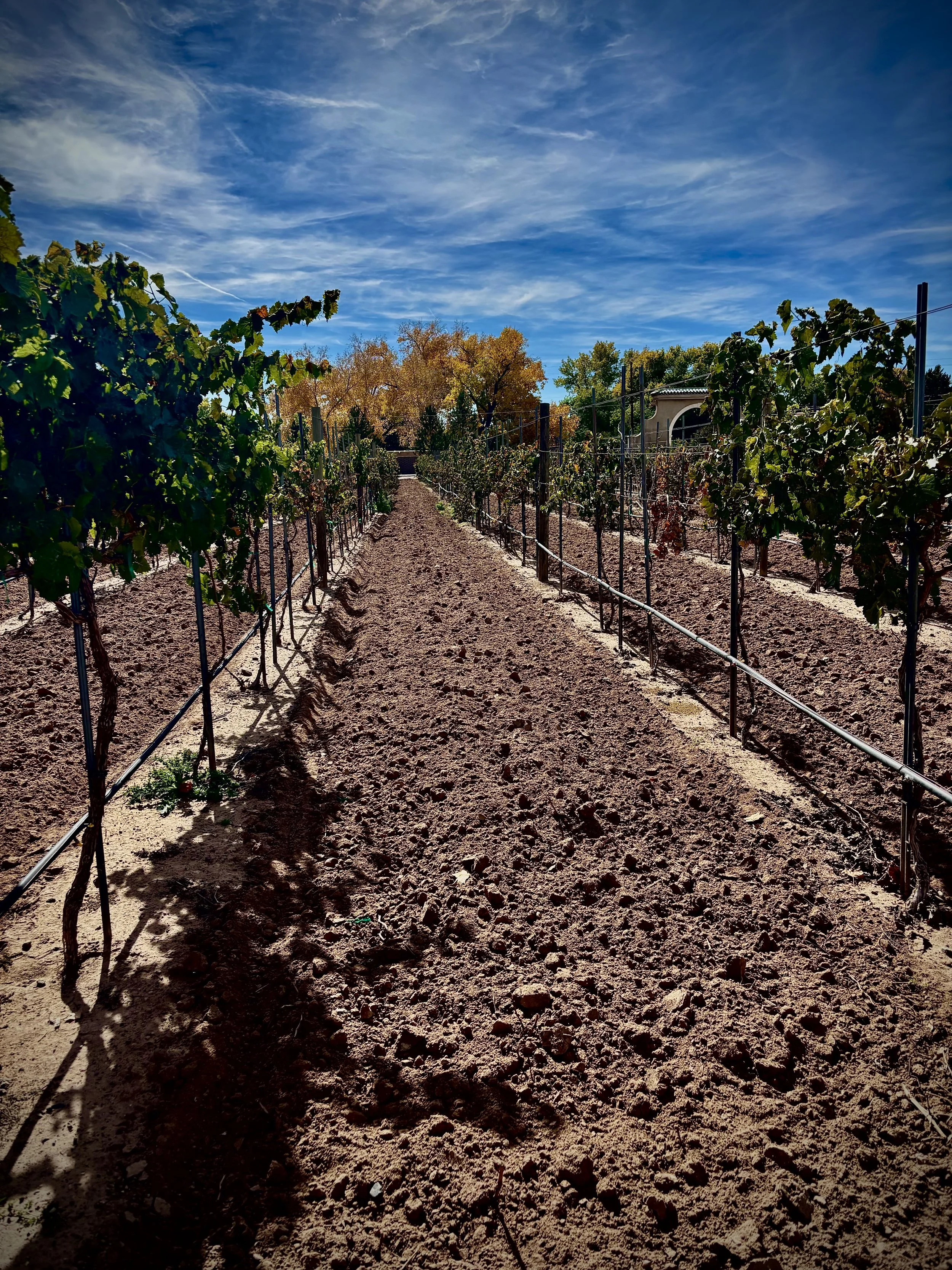 this feels fitting:Friendship with Jesus