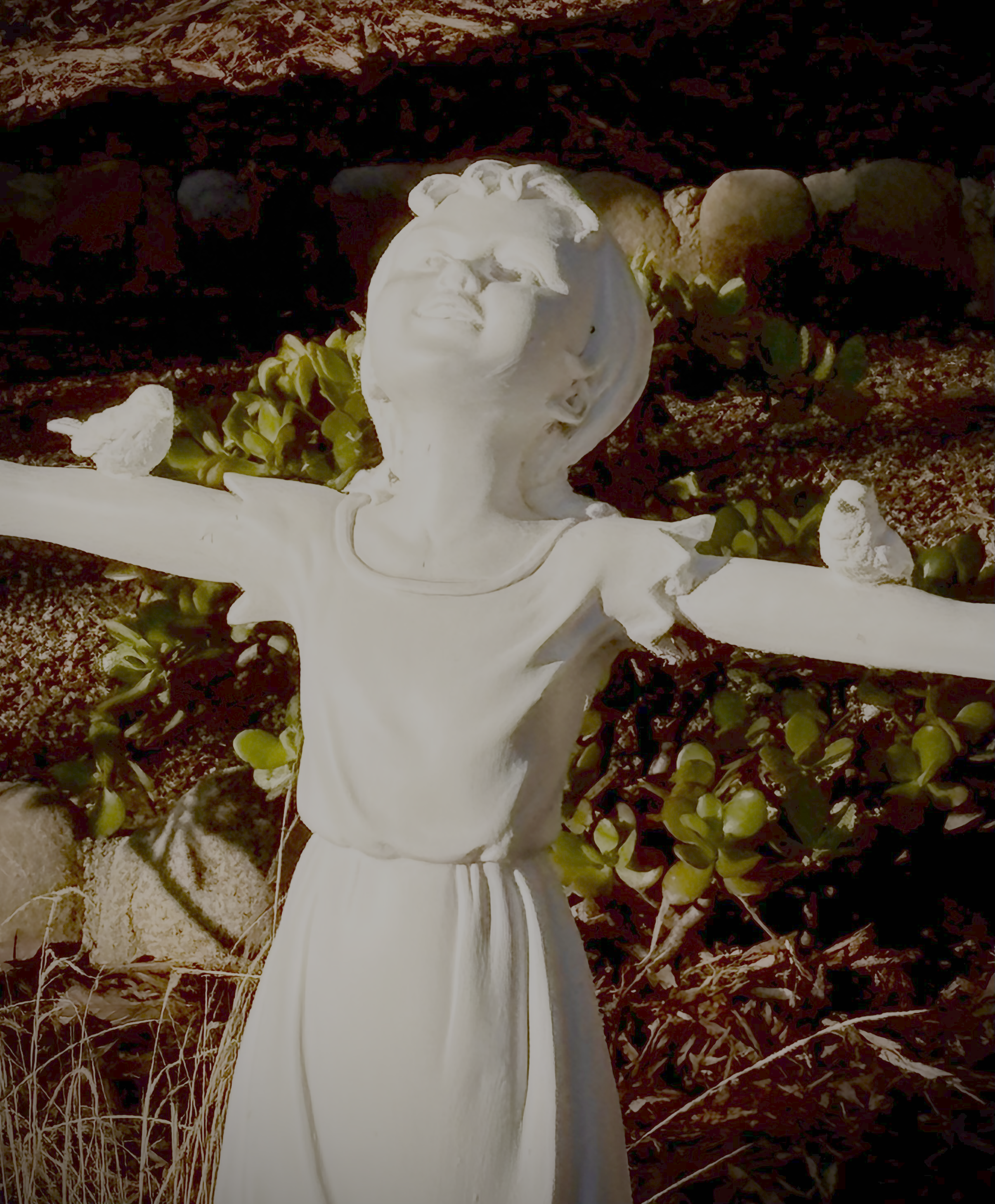 Dwelling places: Joy 