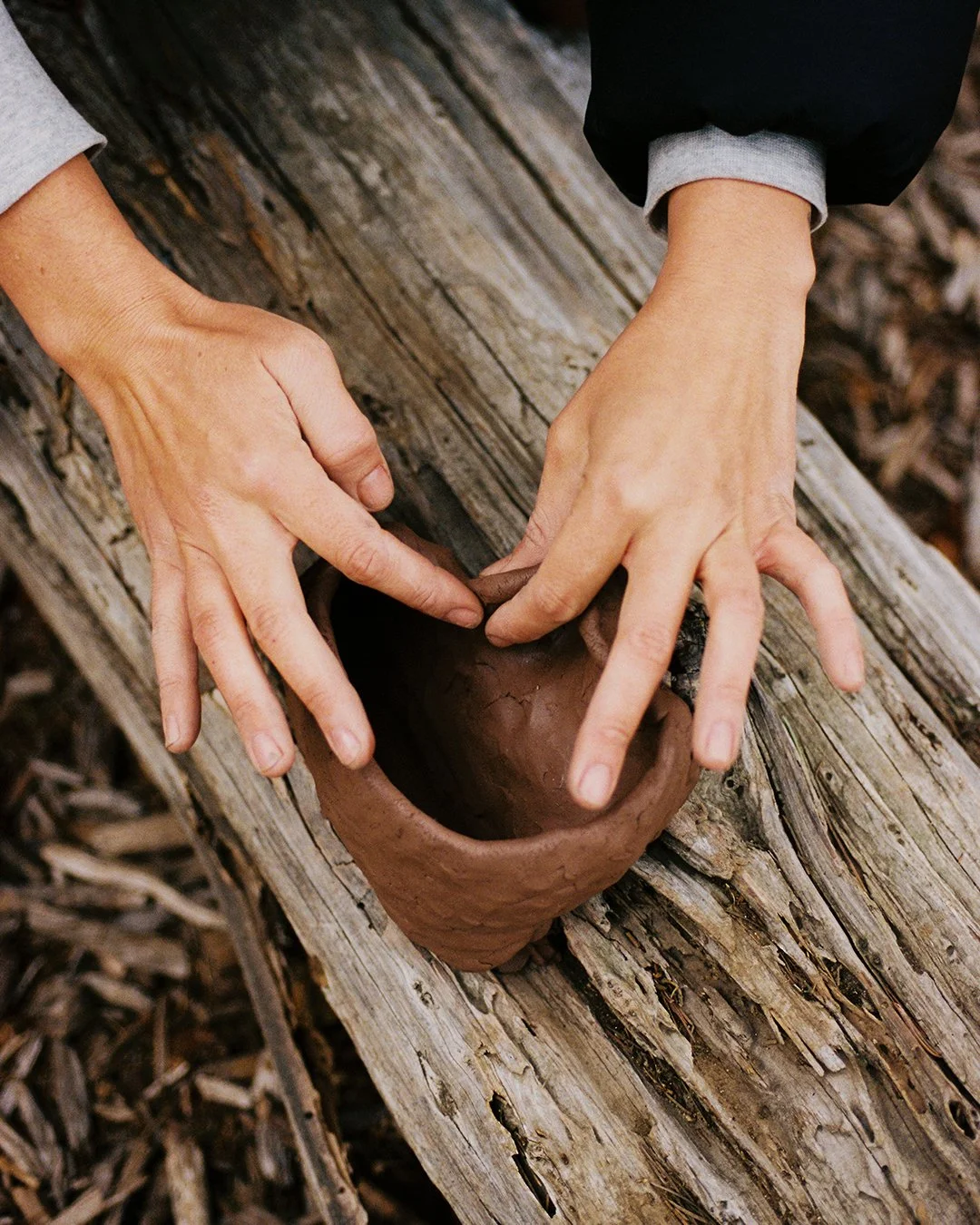 sculpting in nature-march 14th-1.jpg