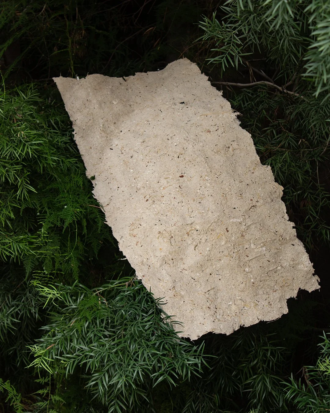 compost to paper-3.jpg