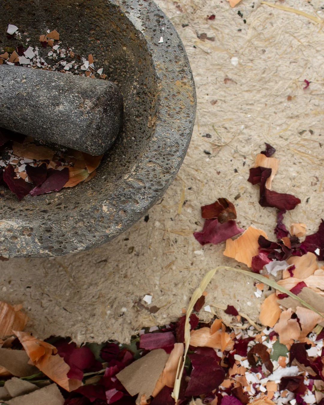 compost to paper-2.jpg