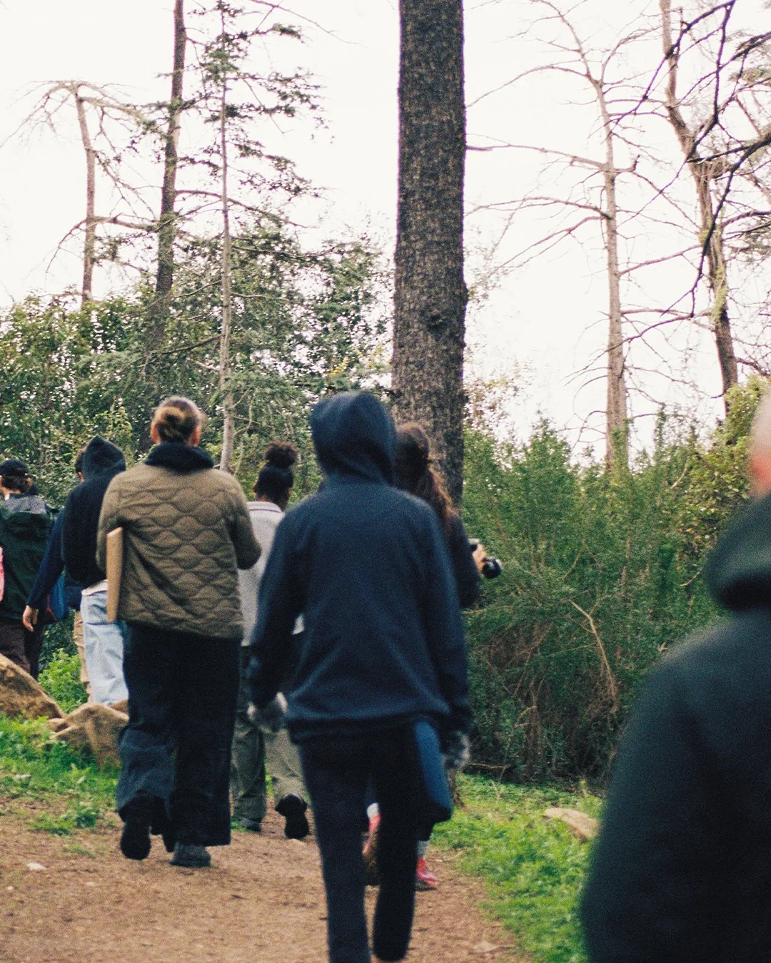 sculpting in nature-march 14th-5.jpg