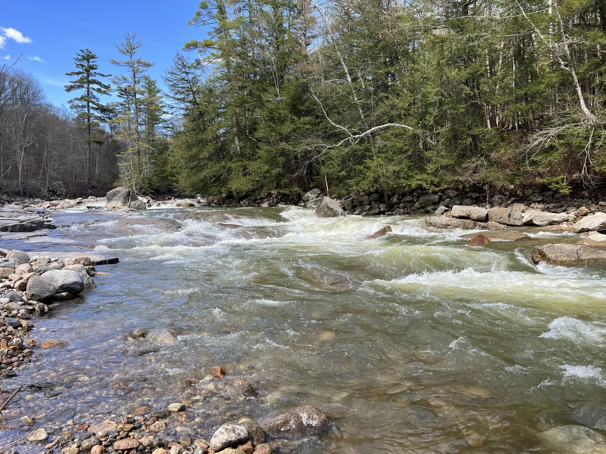 eastbranch river bartlett NH.jpeg