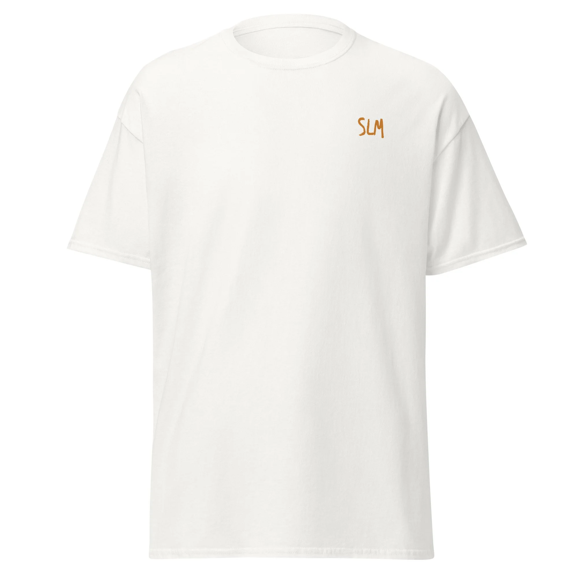 unisex-classic-tee-white-front-673d721259212.jpg