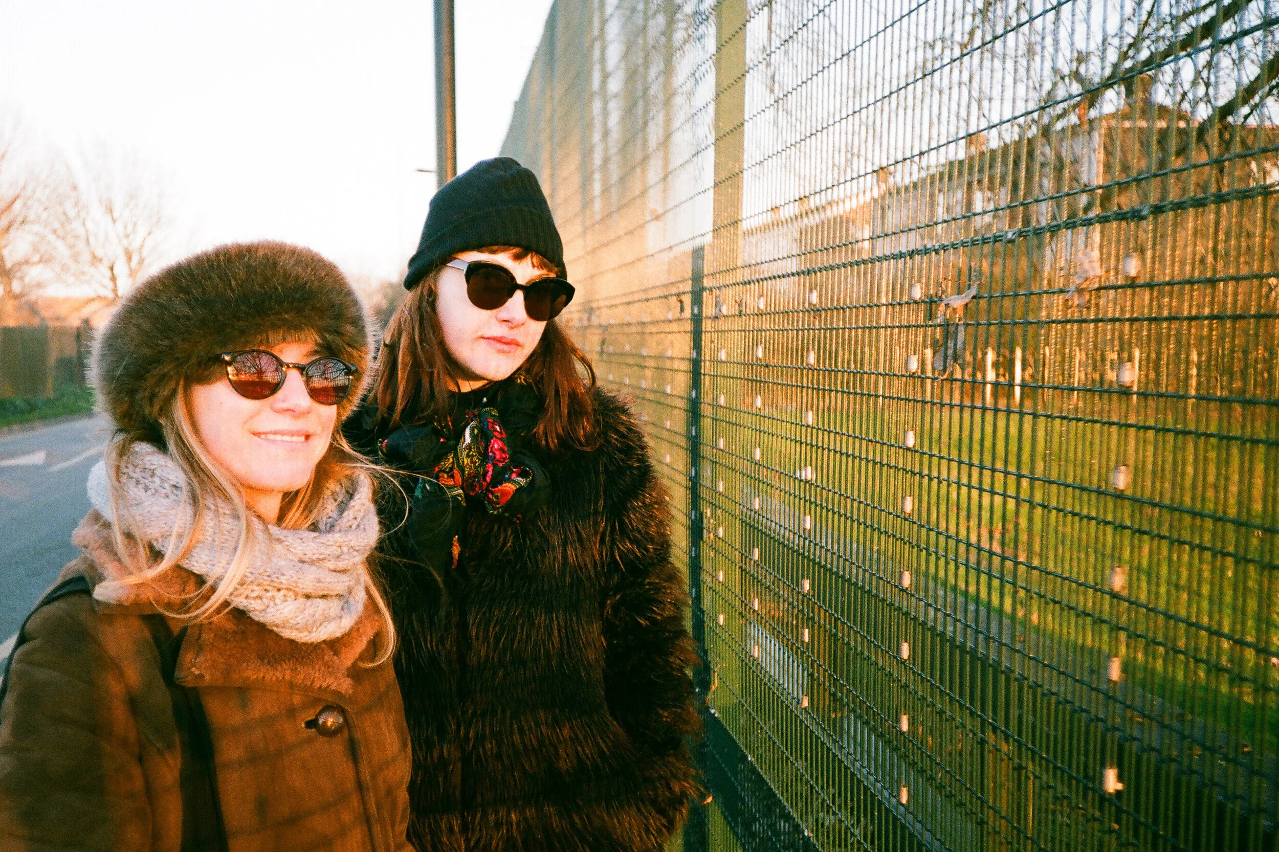 55520004crop.jpg