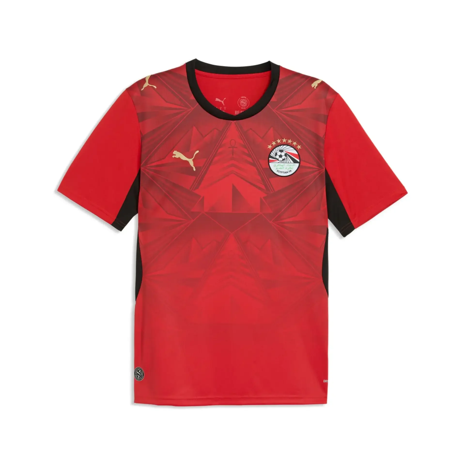 pumaegypthome1.webp