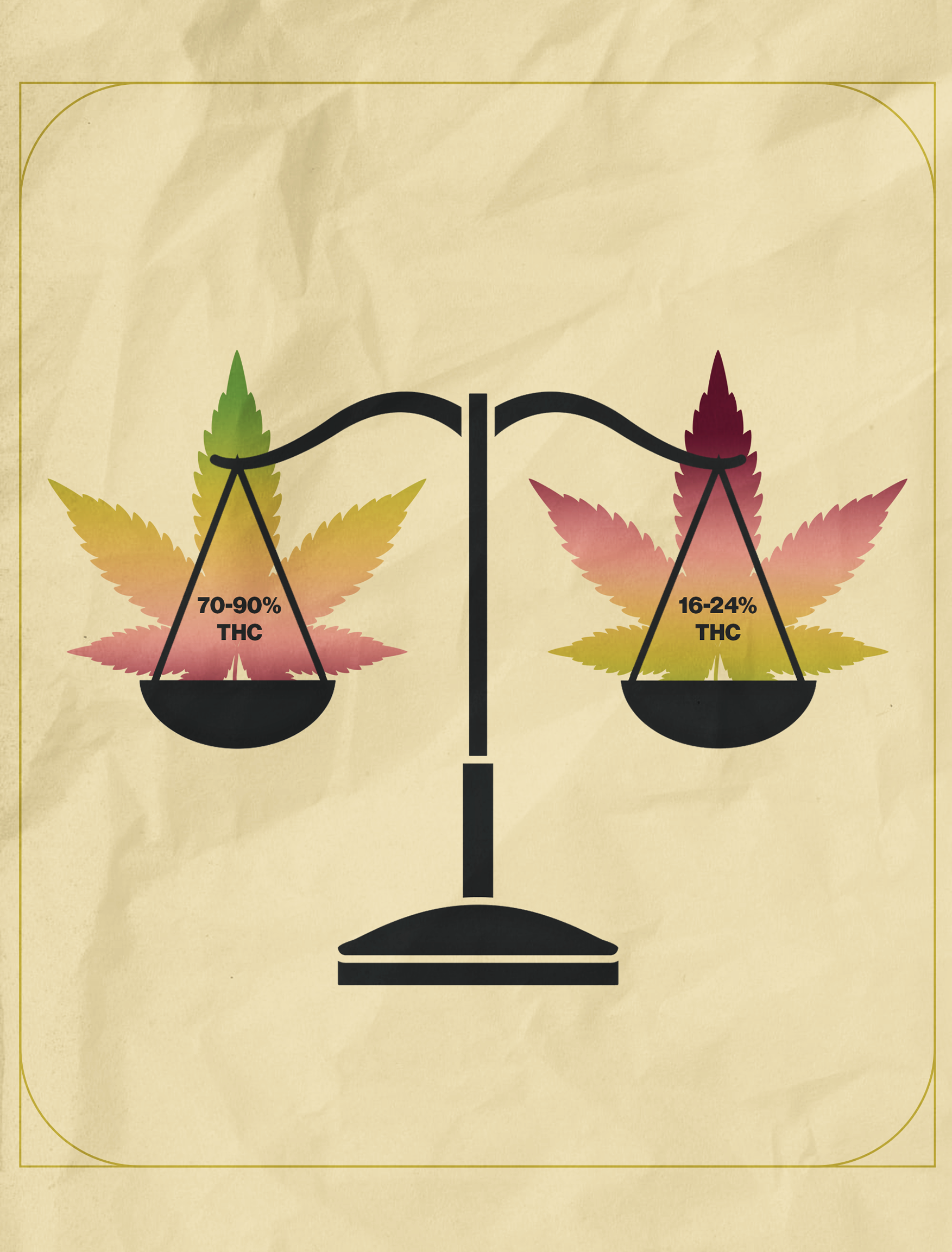 THC Potency Does Not Determine the Strength of Cannabis