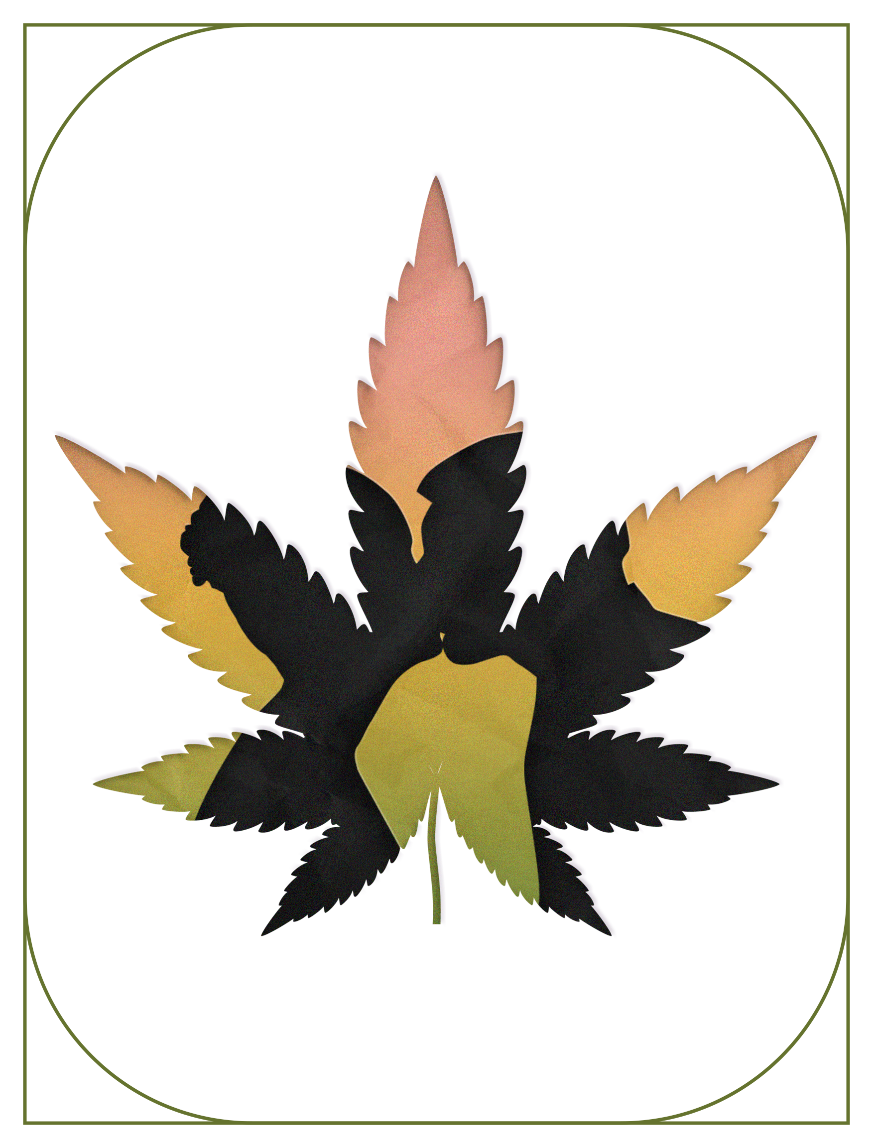 Can Cannabis act as an Aphrodisiac?