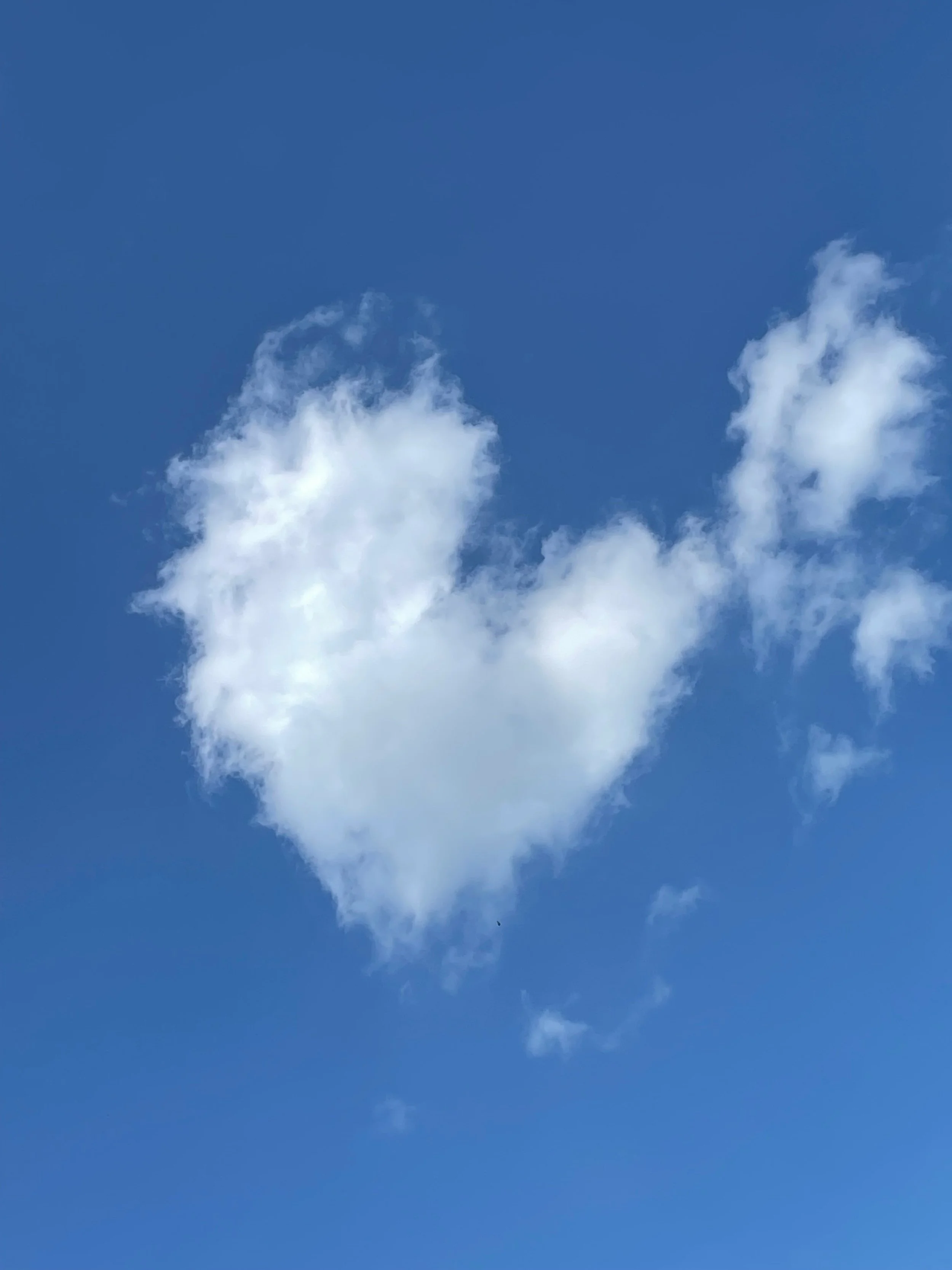 The Collective Heart