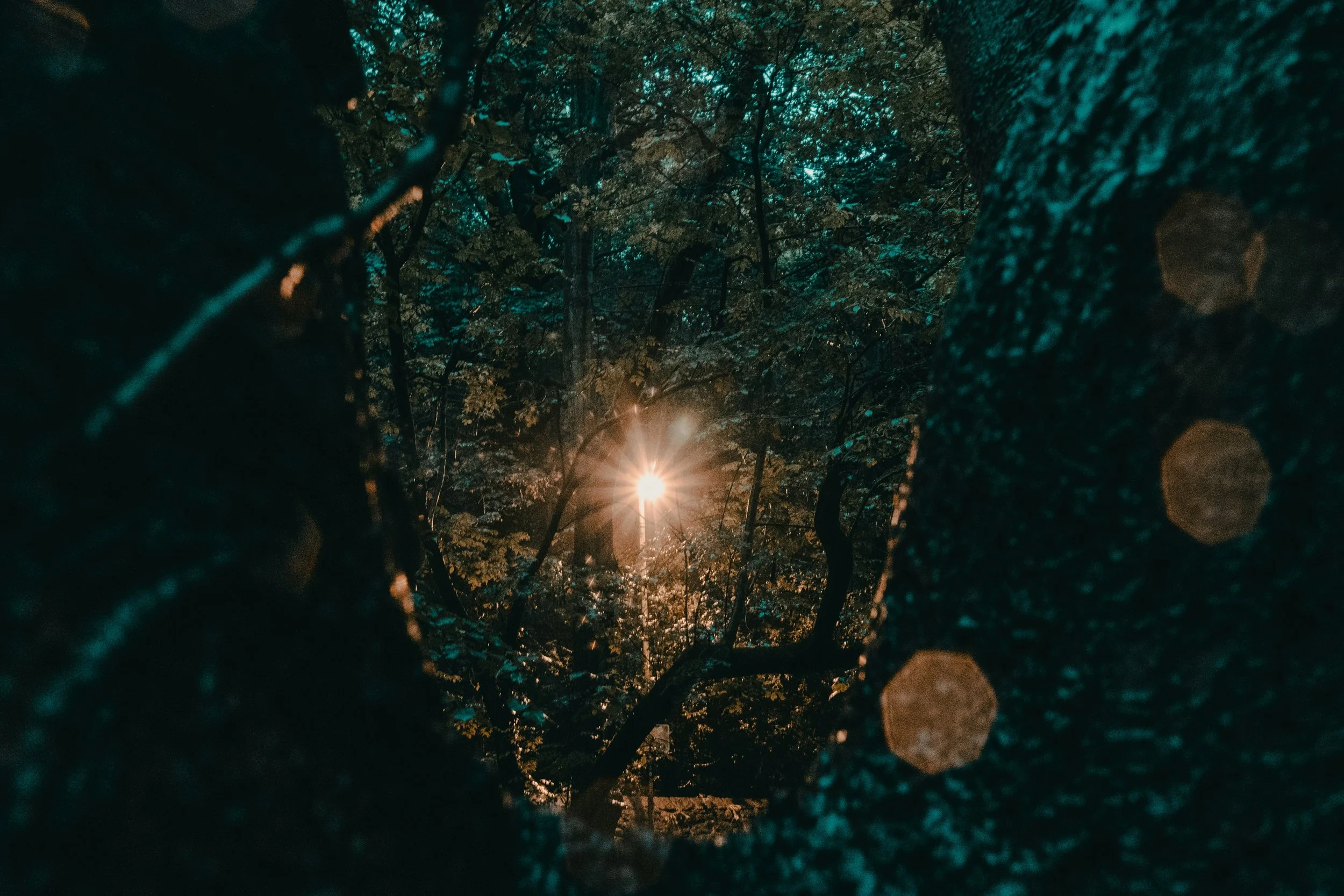 Incarnate the Light