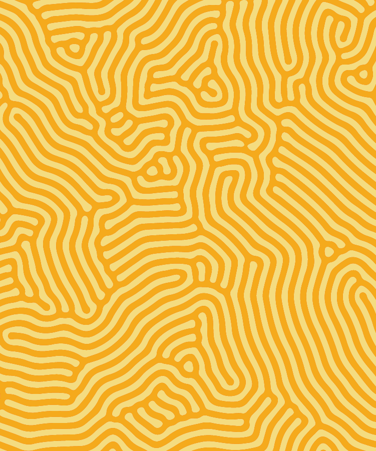 A maze pattern with winding orange and yellow lines on a yellow background.