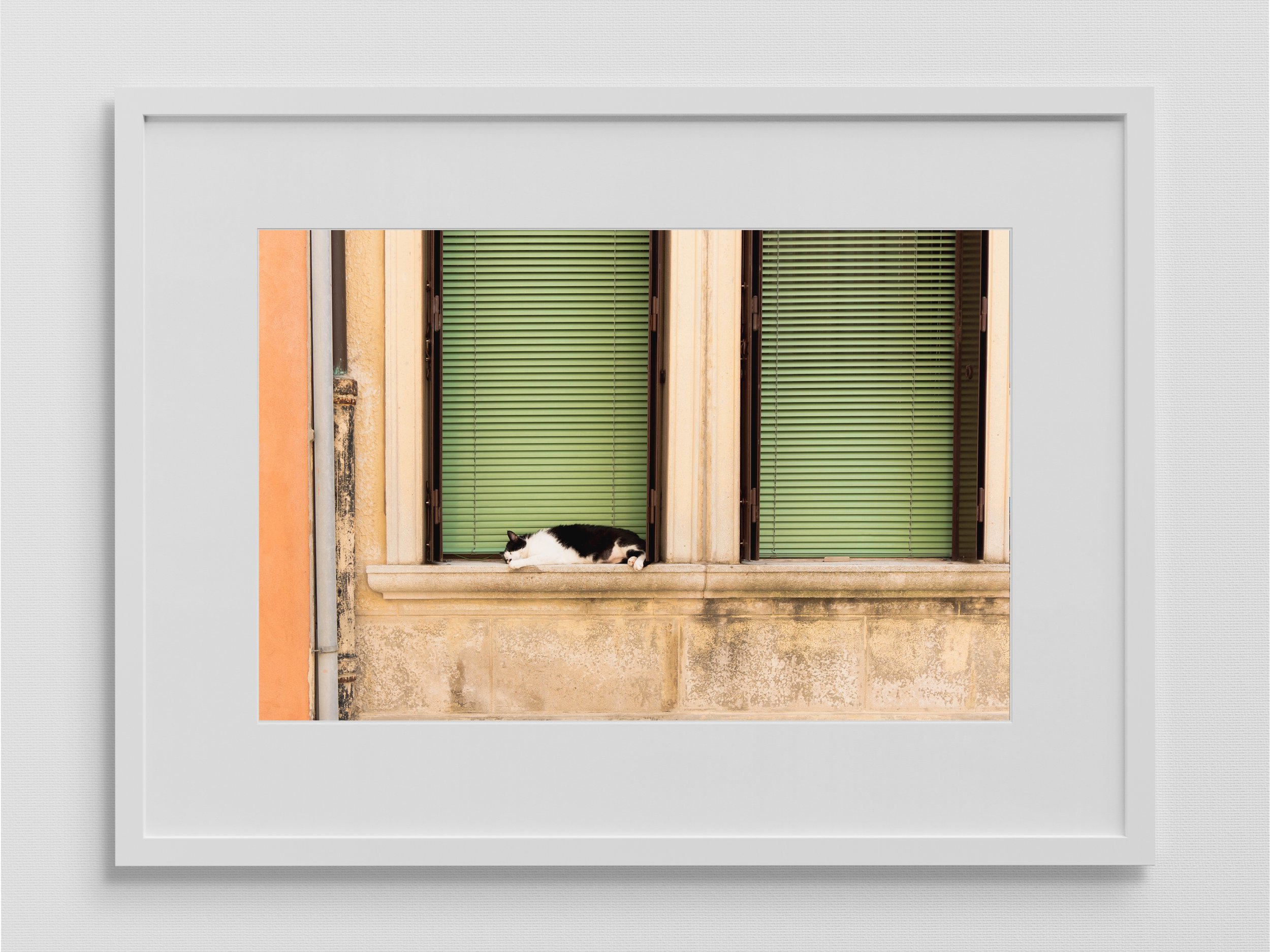 Venice 6.jpeg