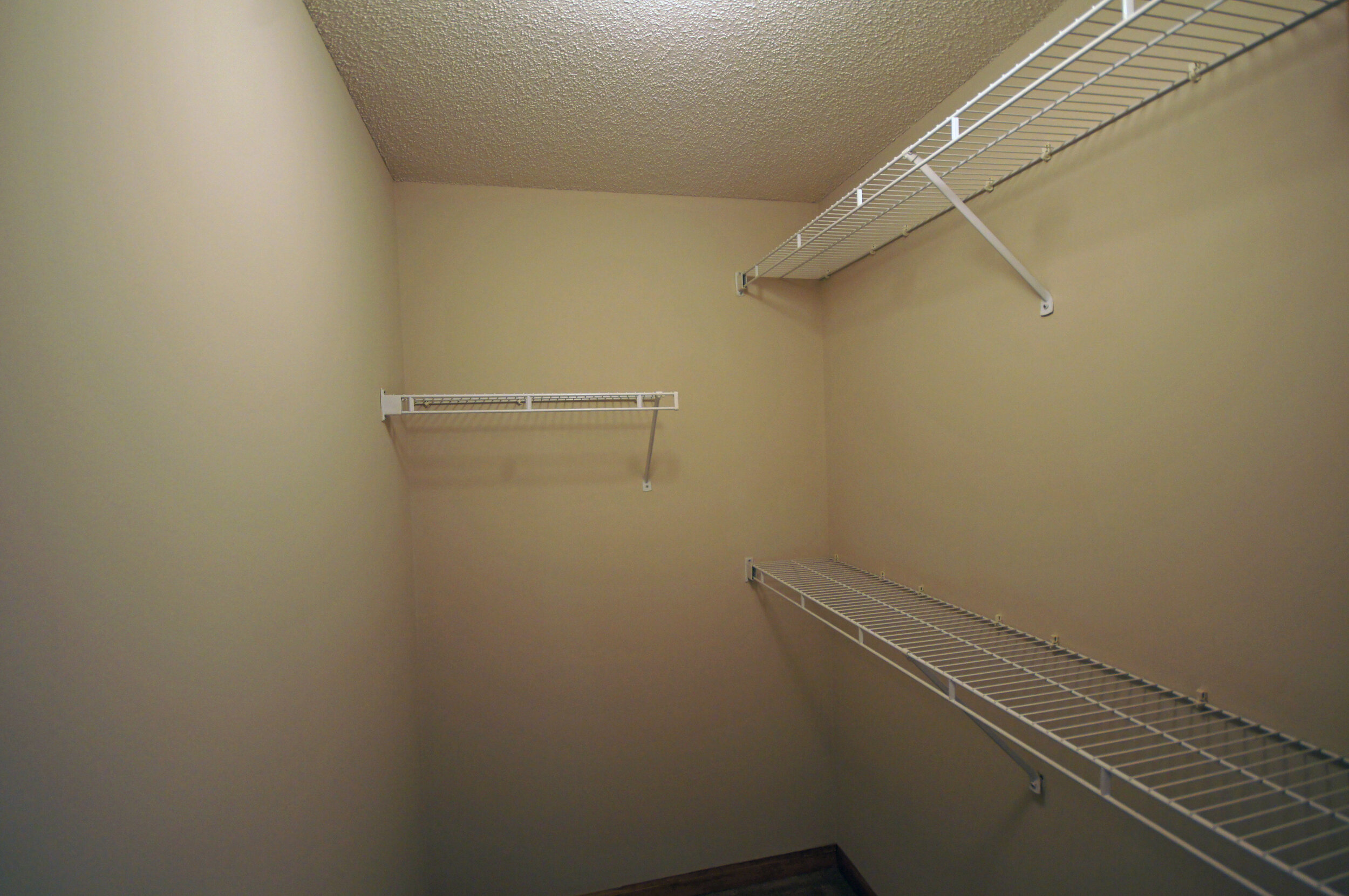 28 - Lower Mstr walk-in closet.JPG