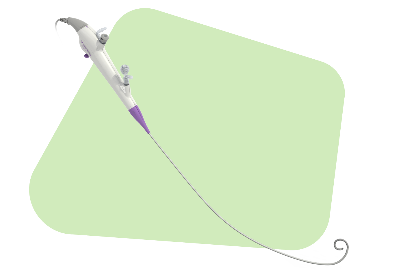 ureteroscopio flexible scivita