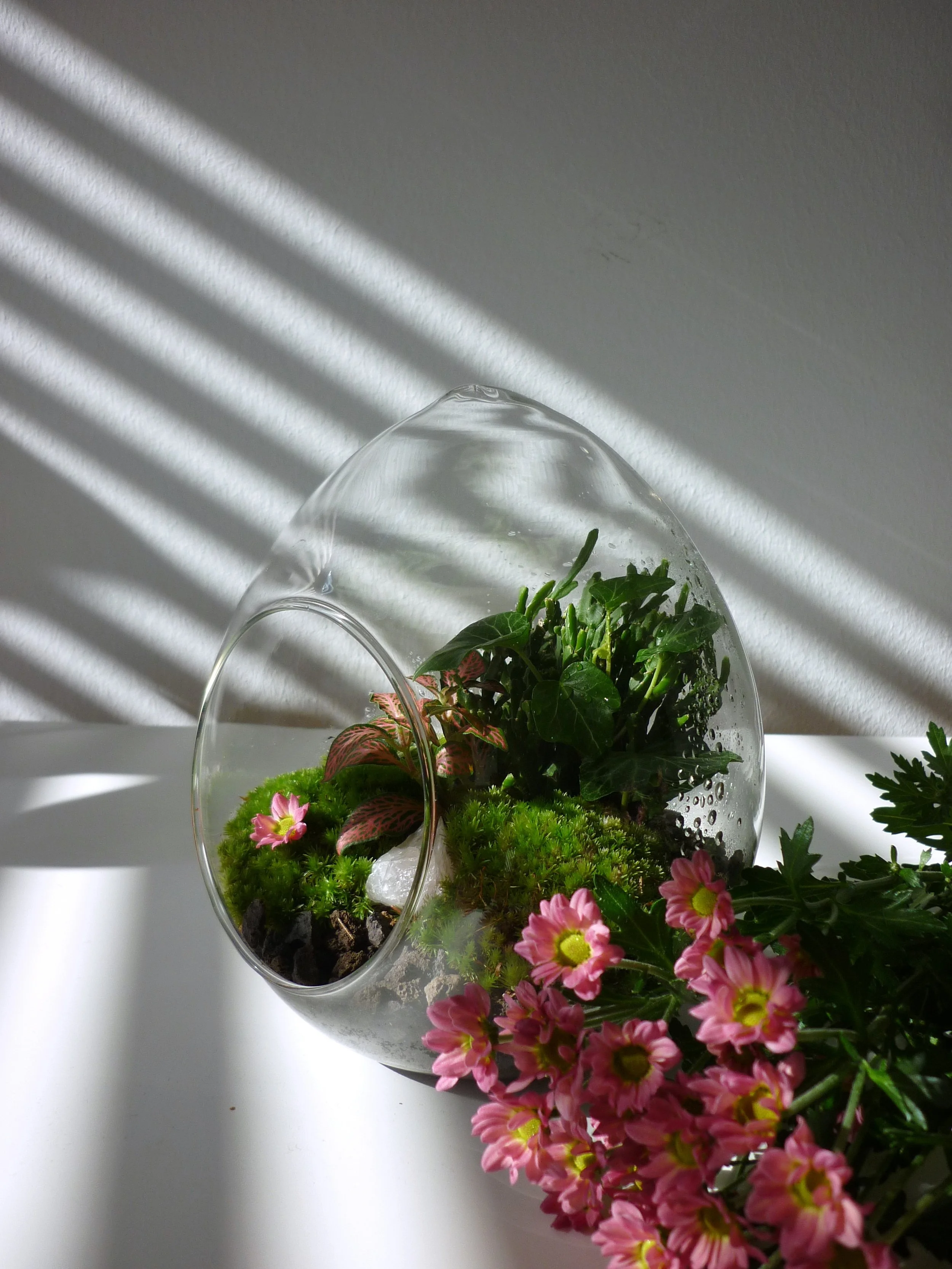 Just like Heaven – Zen Garden