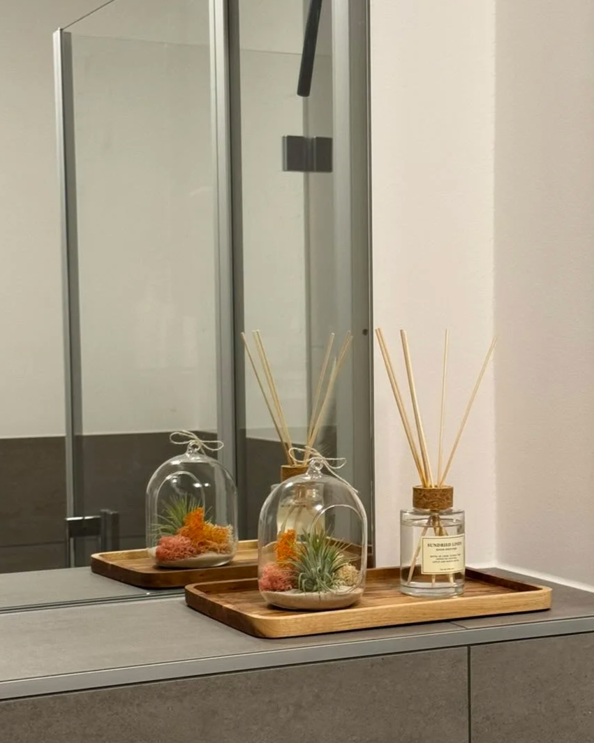 little airplane oasis in bathroom fight gardens to go