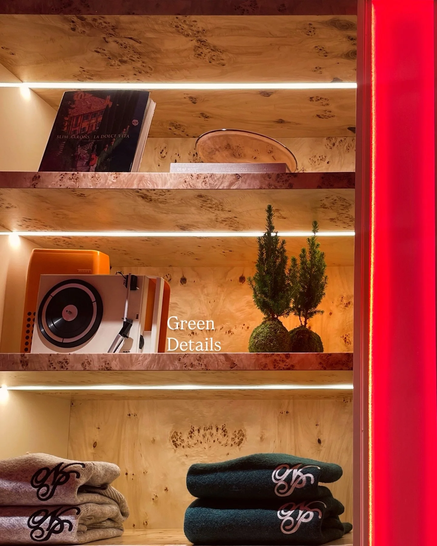 So happy to see these plants in their new home. ✨🌿Thank you @nudeproject for letting us be a little part of your amazing new store.