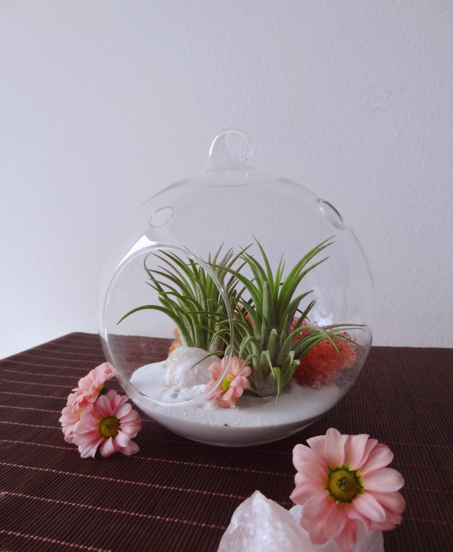 Love is in the air&hellip;🍃
14 days to Valentine&rsquo;s.

_______________________

#airplantlove #airplantlovers #loveisintheair #greengift #gardenstogo