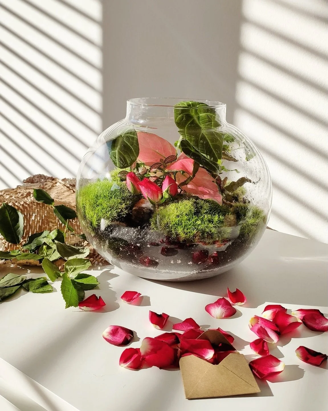 Gardens of the heart 💌
A handcrafted terrarium with Aglaonema Baby Pink, Alocasia &amp; Roses&hellip;

Little things bloom when they&rsquo;re cared for&hellip;

Now available 🌷 at gardenstogo.de :)
Happy weekend!

____________________

#minigarden 