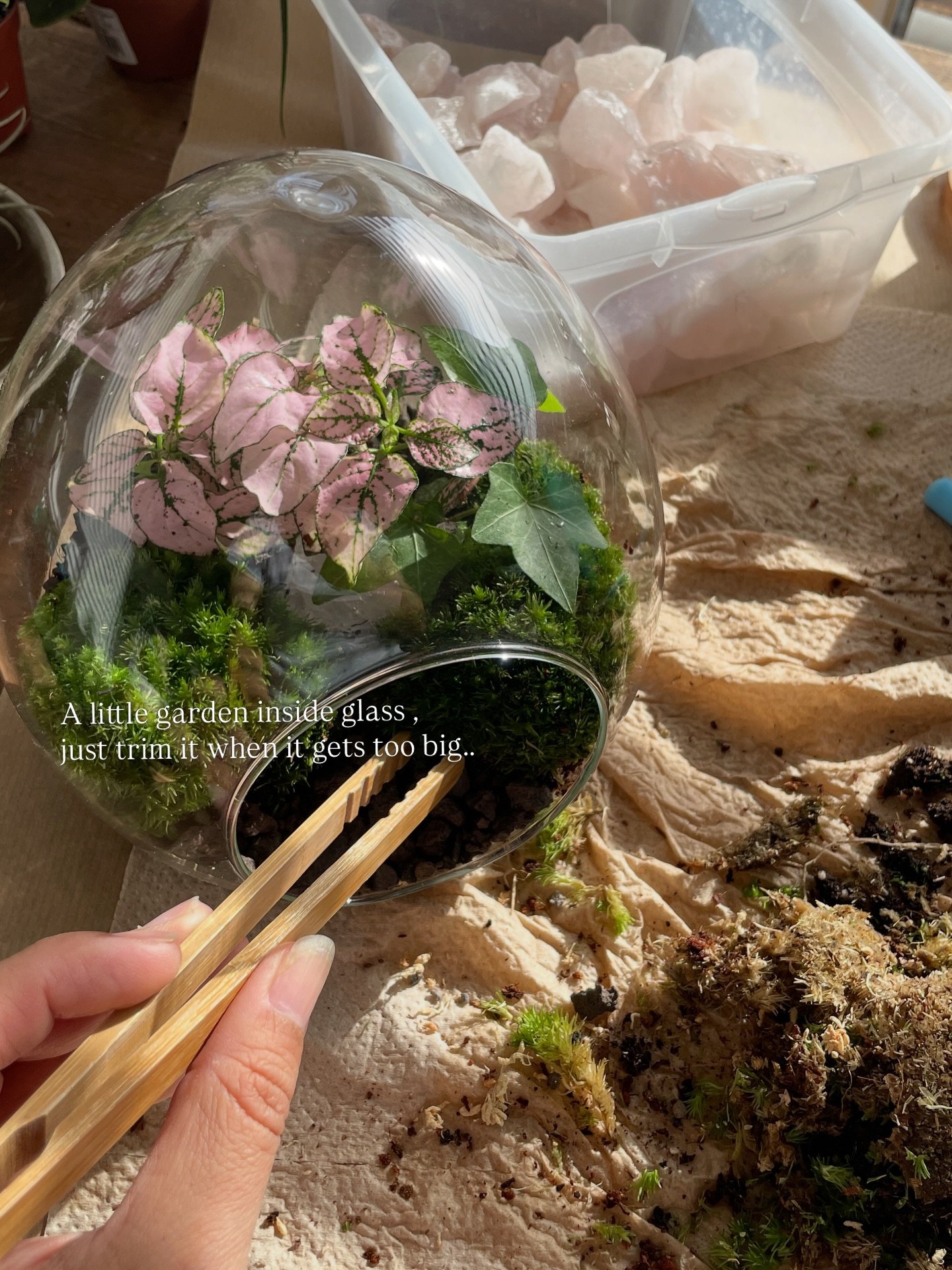 It&rsquo;s holiday Season🌿
They came as eggs&hellip; And inside, something is already growing. 😊🥚
a quiet way to welcome spring, new growth and calm days.

Made to order ✨via DM or www.gardenstogo.de

A lovely weekend!

__________________

#terrar