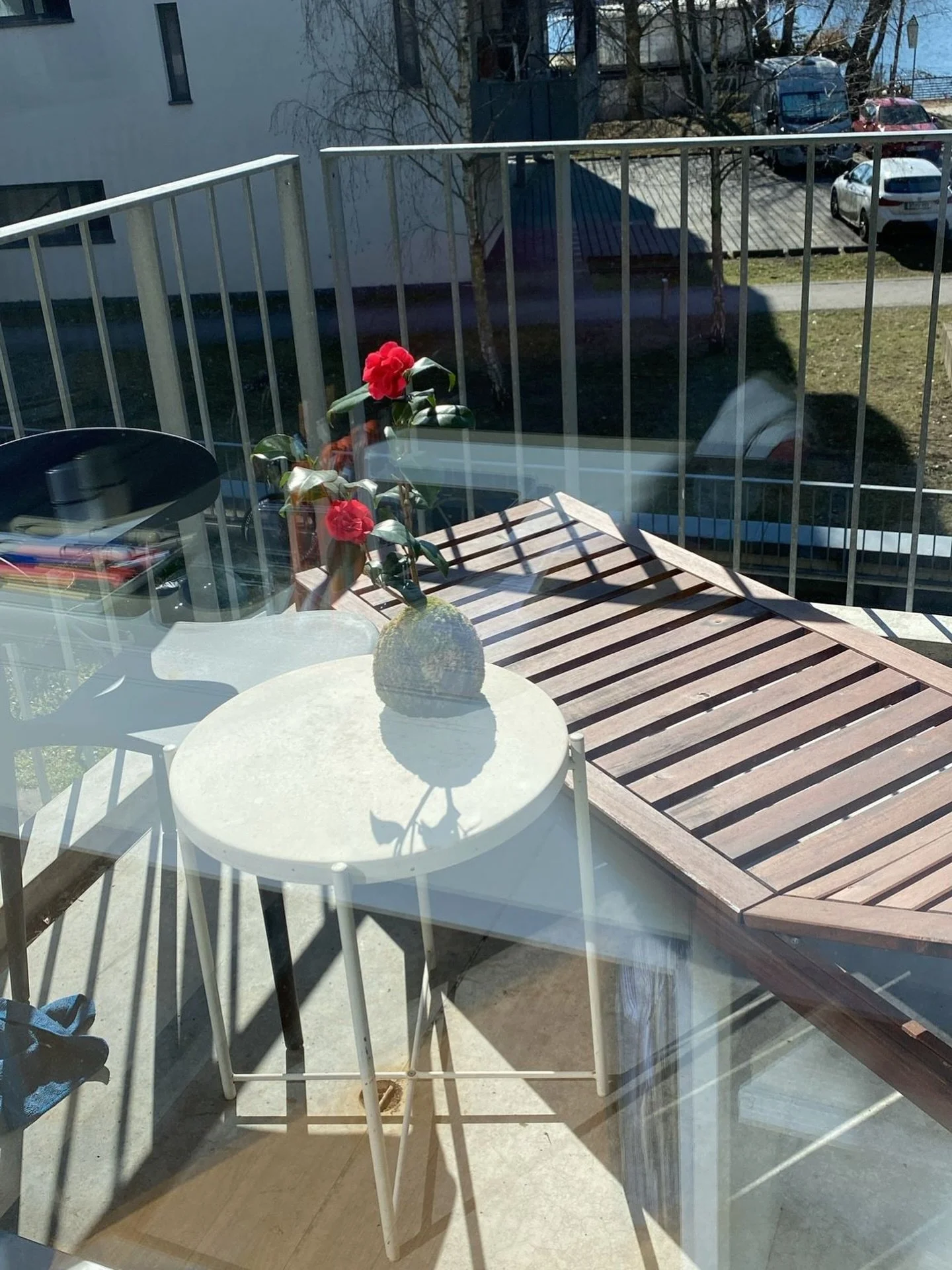 One of the camellia kokedamas found a new home 🤎

In japan, they are seen as a symbol of good fortune
a way to welcome positive energy into a space.

The camellia represents deep love
its flower falls whole, not petal by petal.

Handcrafted, slowly
