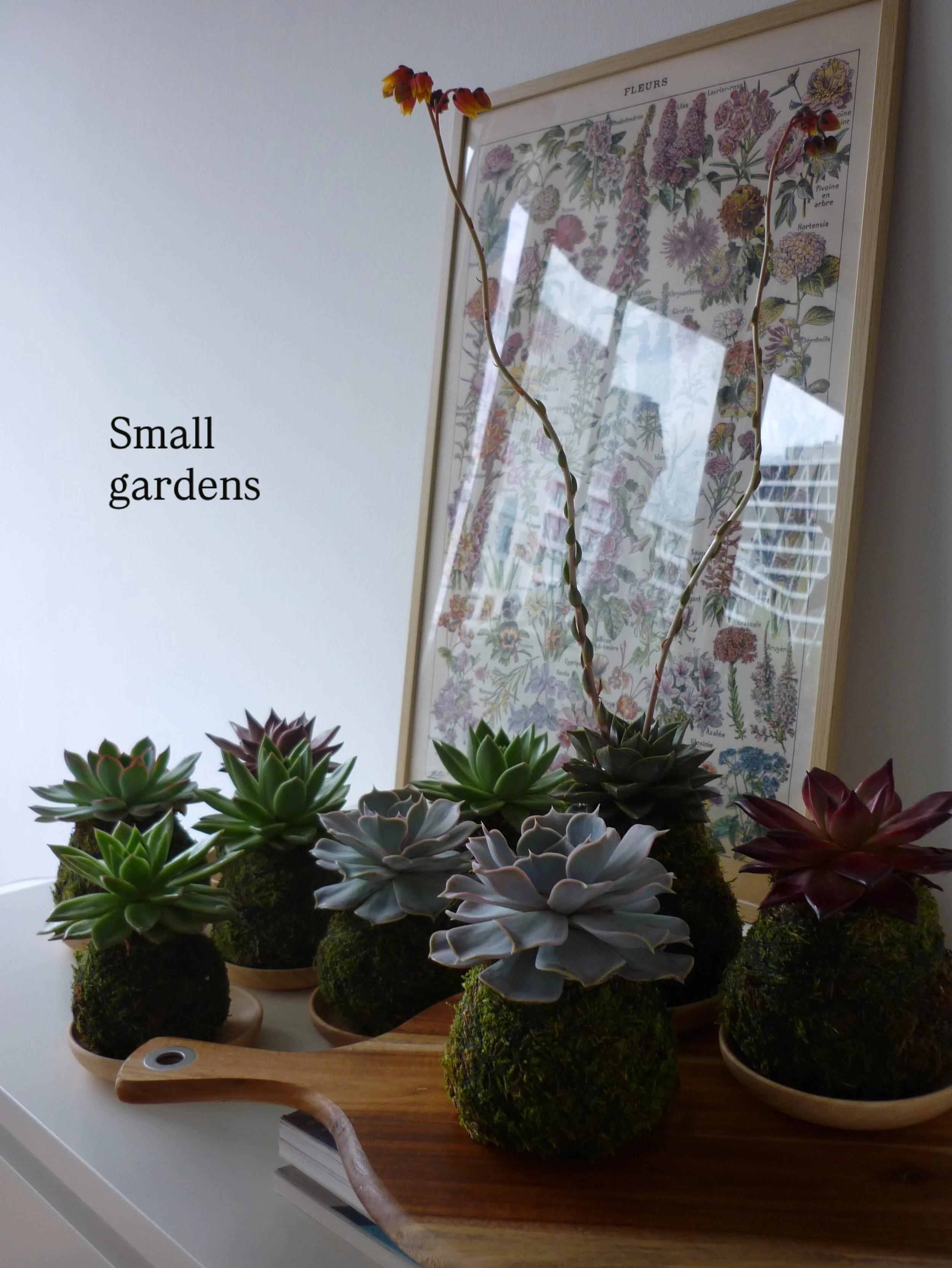 Luxury today is not about having more.
It&rsquo;s about a home that feels alive&hellip;
And Nature has a way of bringing calm, beauty and balance into everyday spaces.

All our gardens are handcrafted in Berlin &hellip;one quiet corner at a time. 💚?