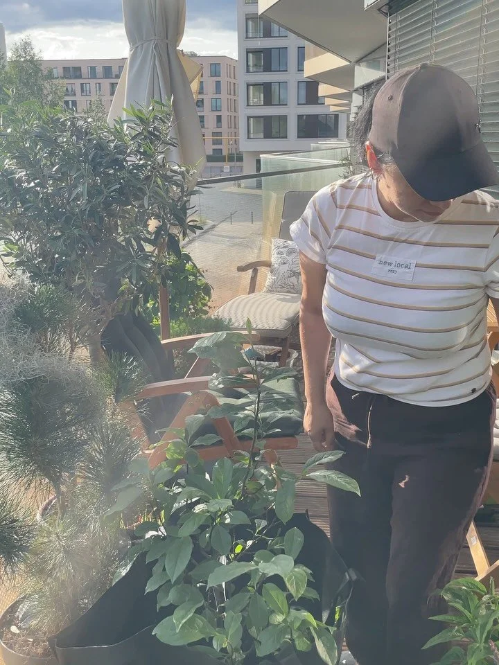 - A few new plants 
- some restocking 
- taking care of the eggs and pines
- sunny days in the Studio
- getting things ready
- one piece at a time 🤎