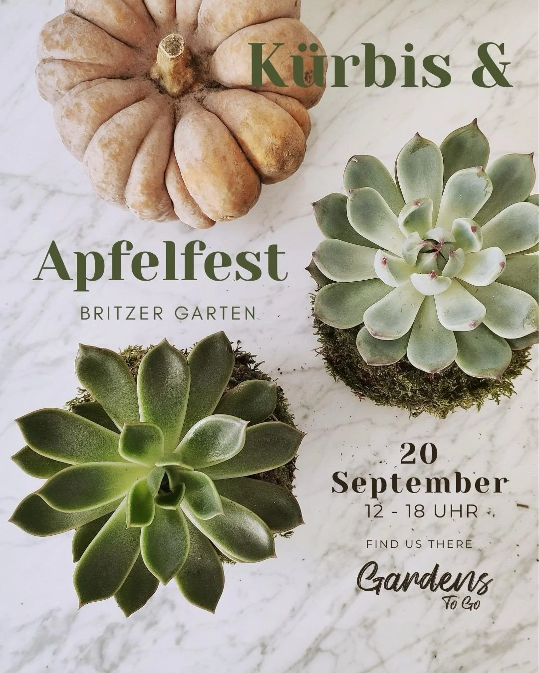 Autumn is coming to Britzer Garten 🍂🌿

Find us at the K&uuml;rbis &amp; Apfelfest with a selection of handcrafted kokedamas, mini gardens and living pieces specially made for the season. 

📍 Britzer Garten
  Sangerhauser Weg 1, 12349 Berlin

📅 20