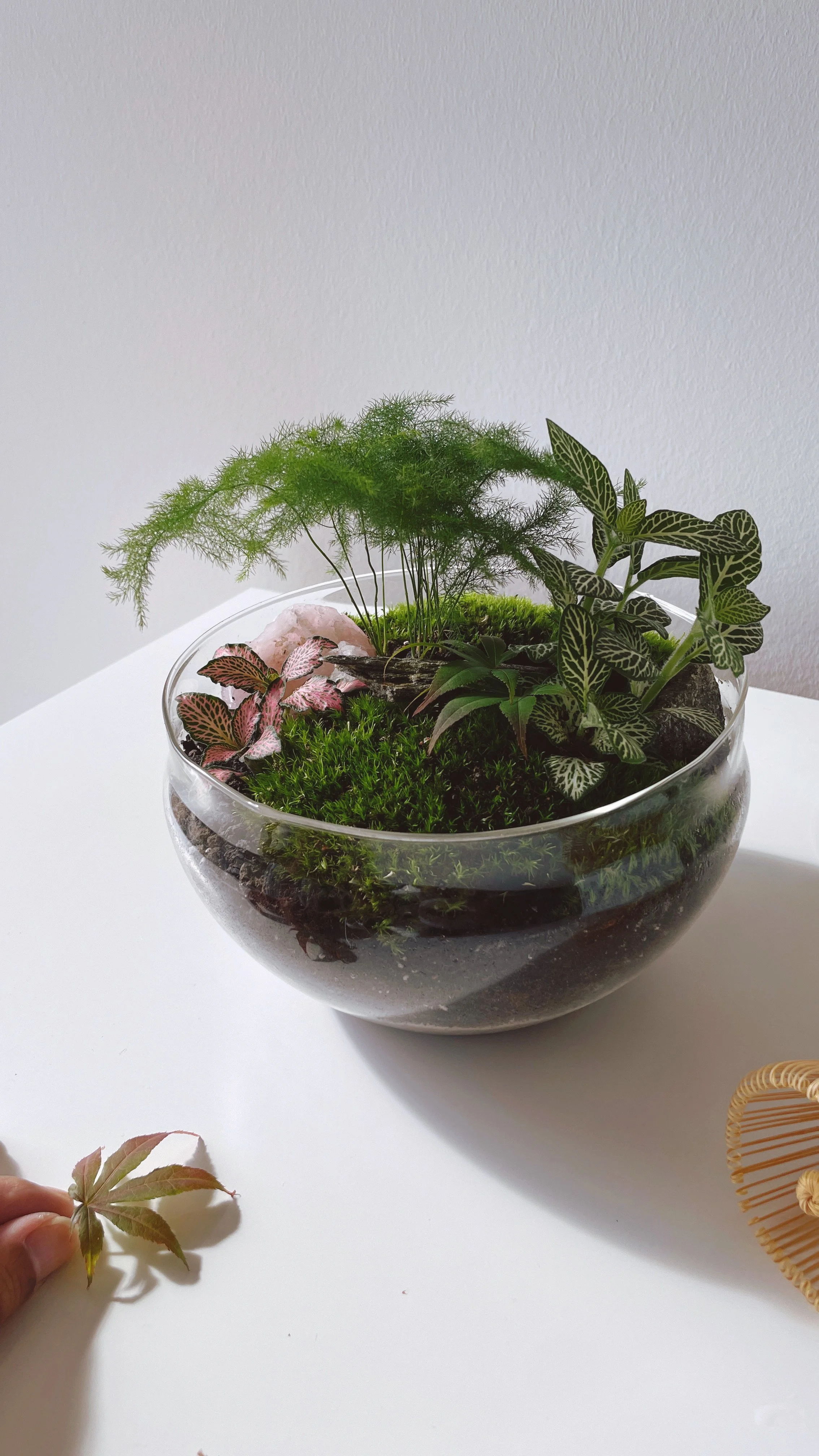 Zen Garden to Go