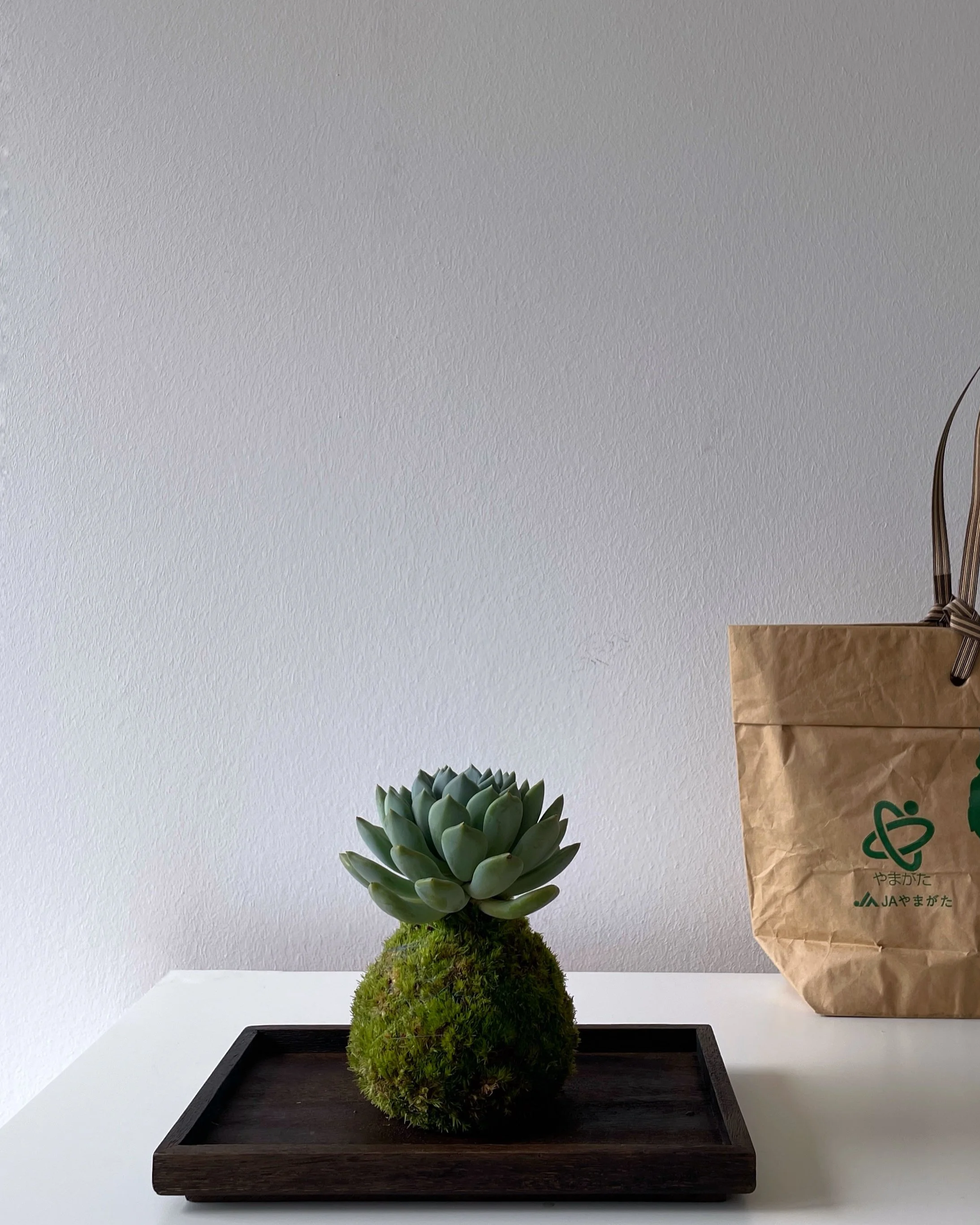 IMG_4129.png (Kopie)