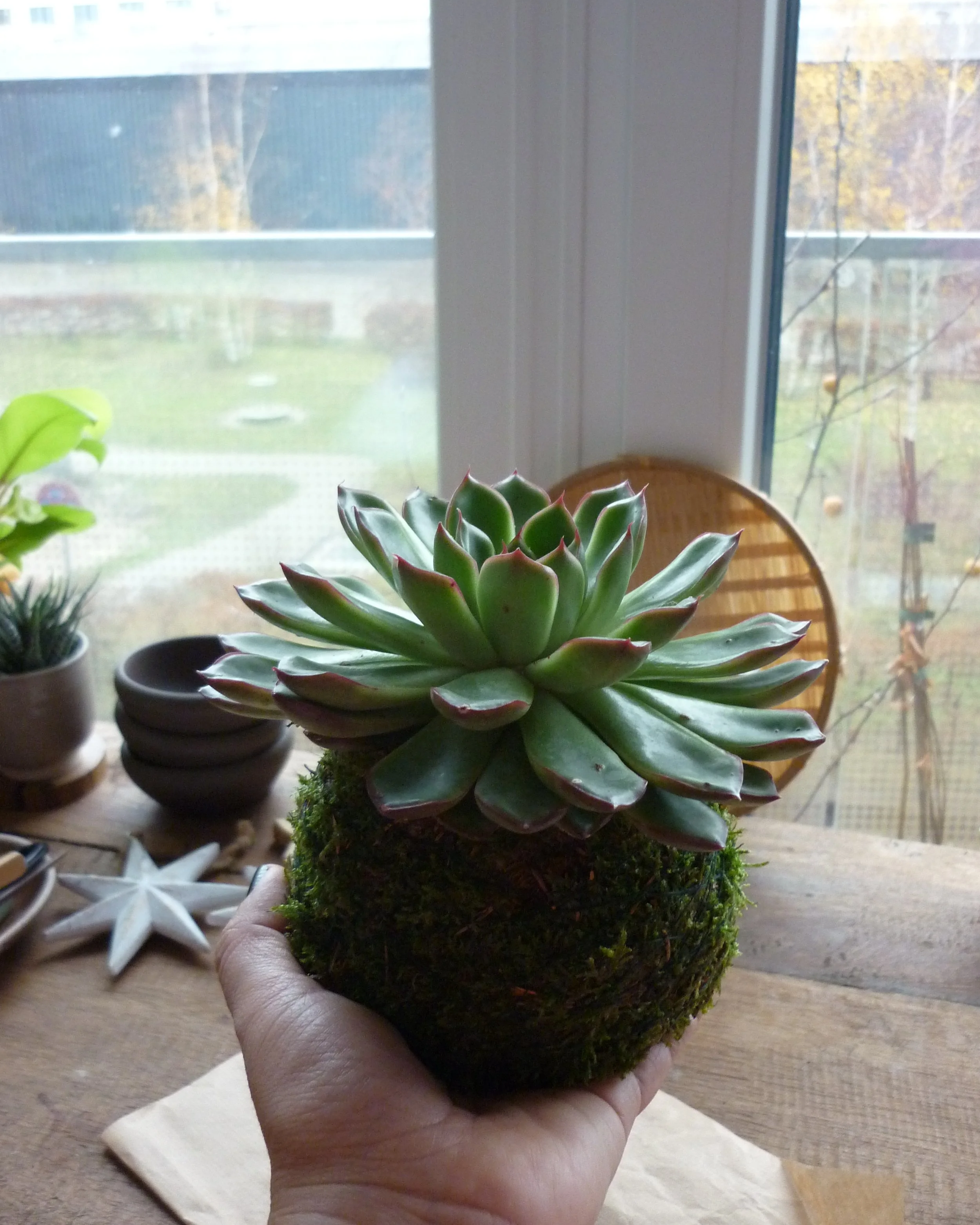 P1080770.png (Kopie)