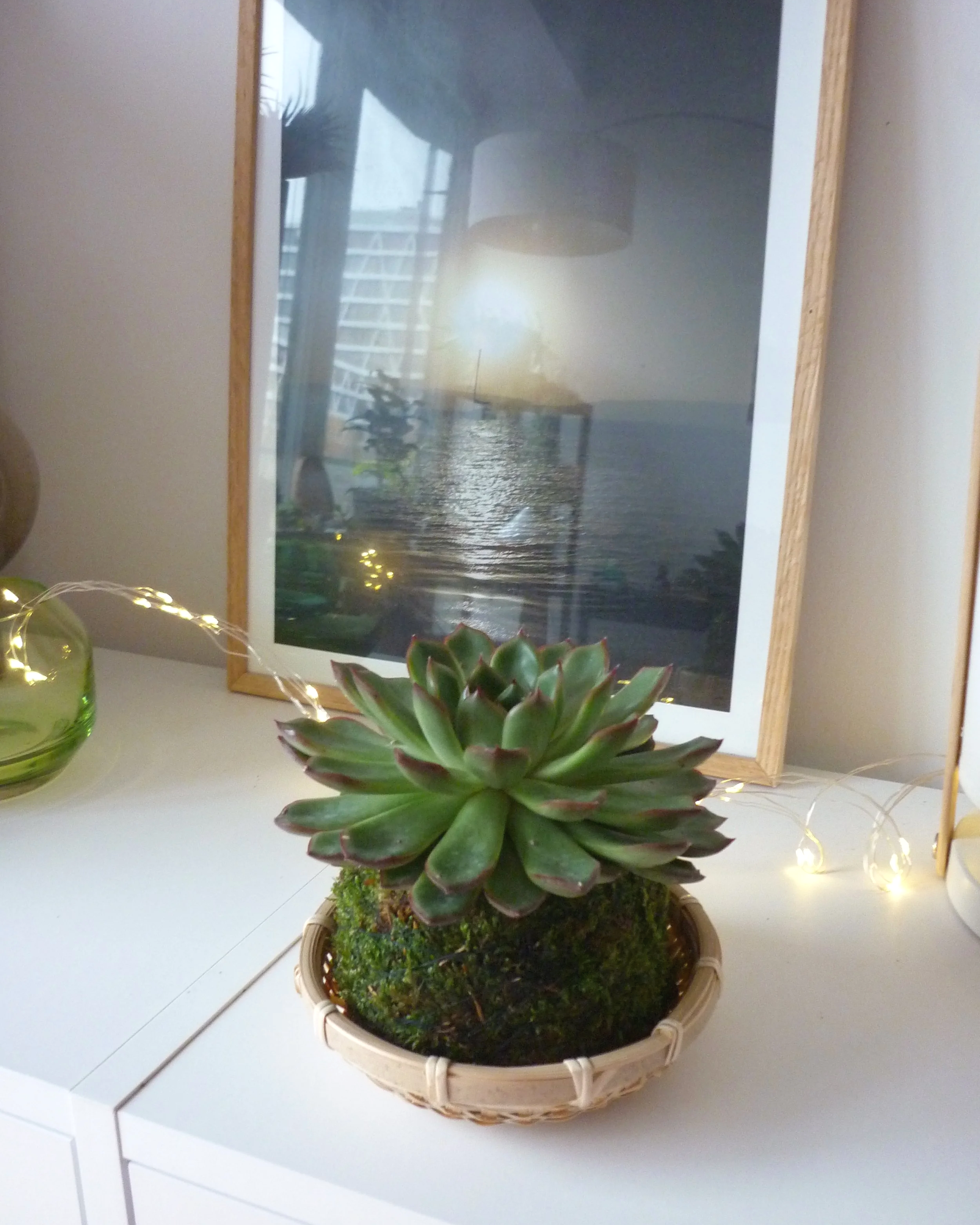 P1080767.png (Kopie)