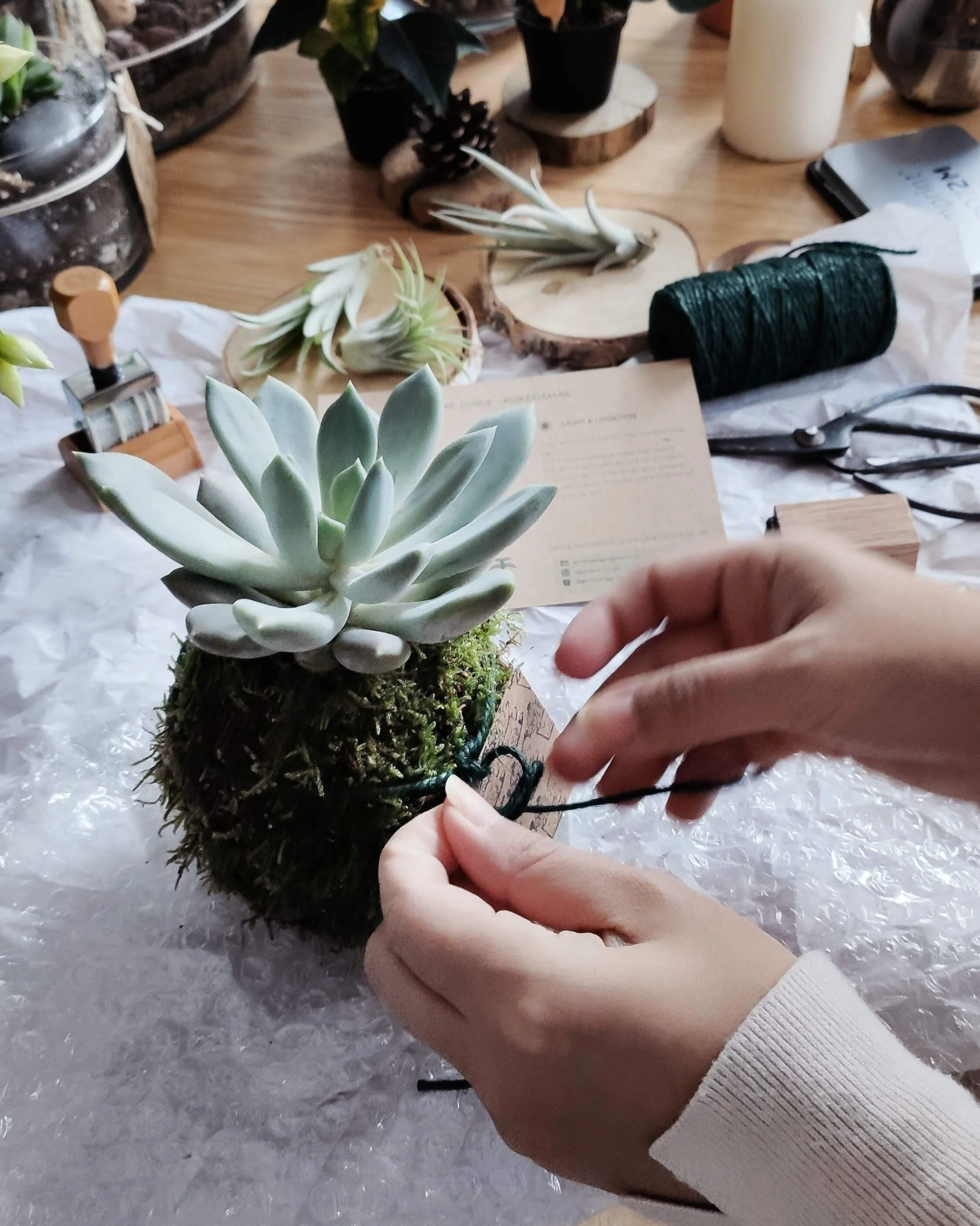 Special seasonal gardens