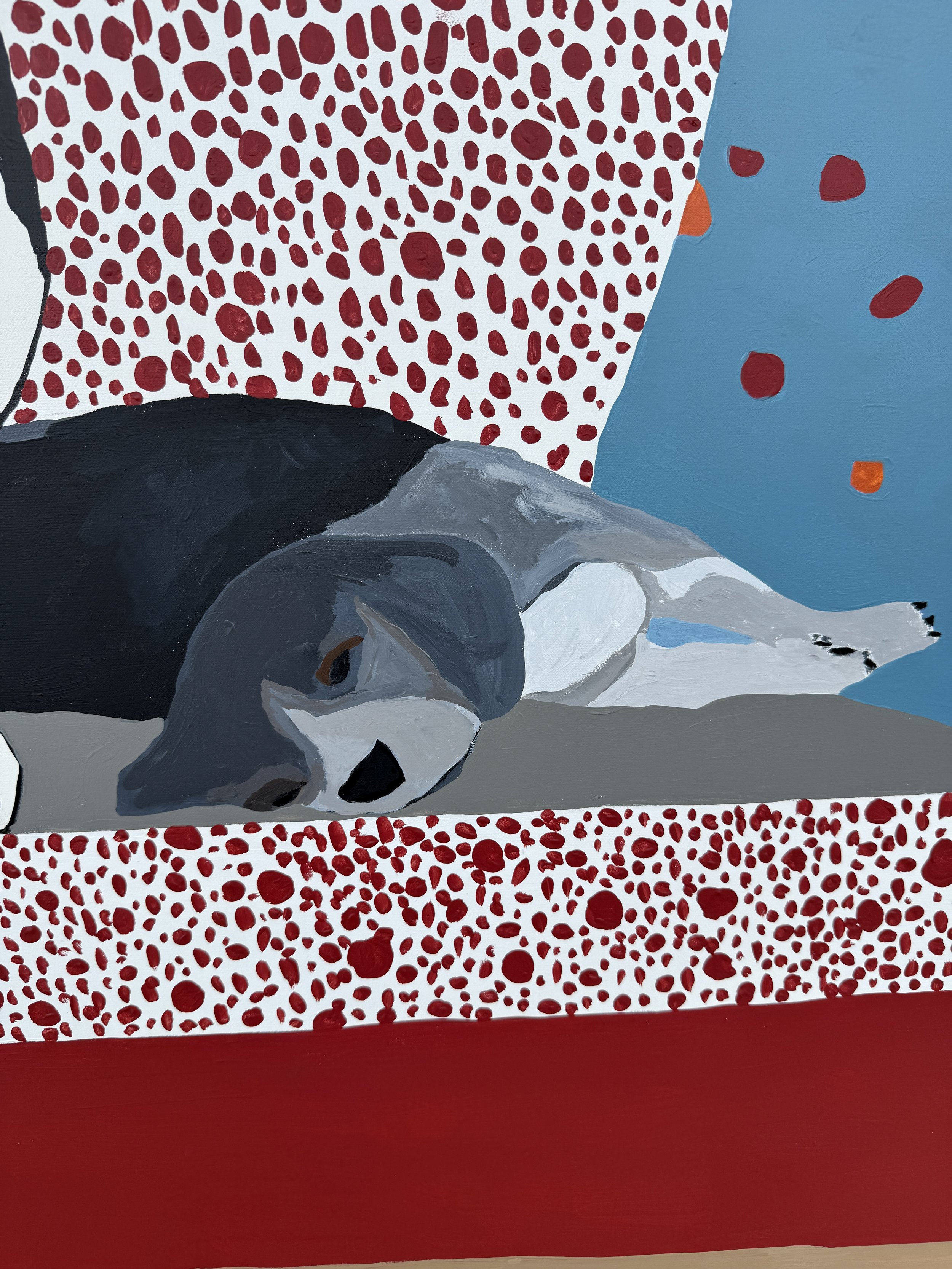 Detail of the curled gray Greyhound on the red patterned sofa in The Thing About Tuesdays.