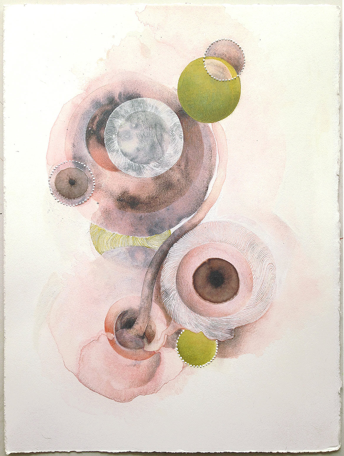   Blush (stalk) , 2012 acrylic, mica, gouache, colored pencil on paper 14” x 11” 