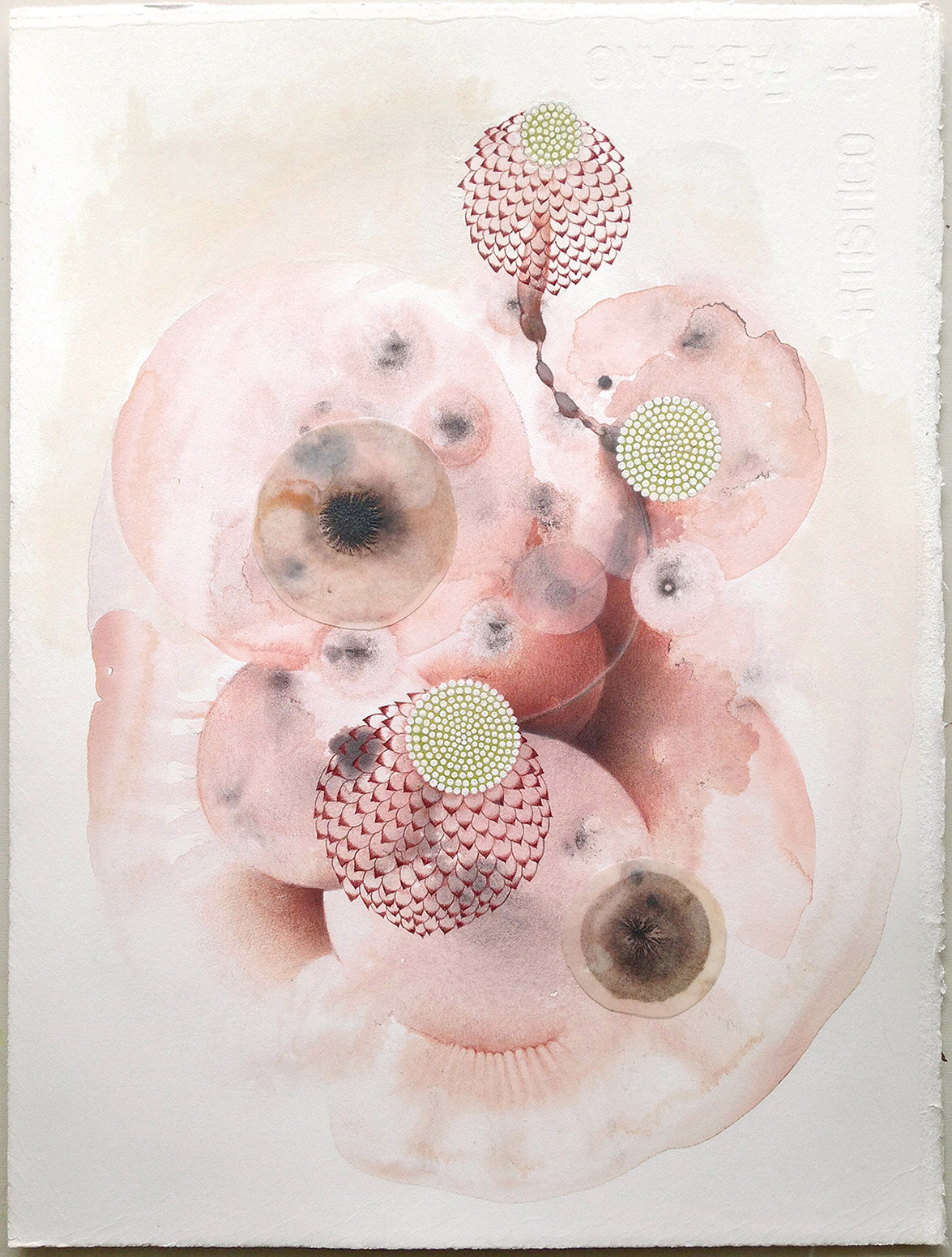   Blush (lotus) , 2012 acrylic, mica, gouache, colored pencil on paper 14” x 11” 