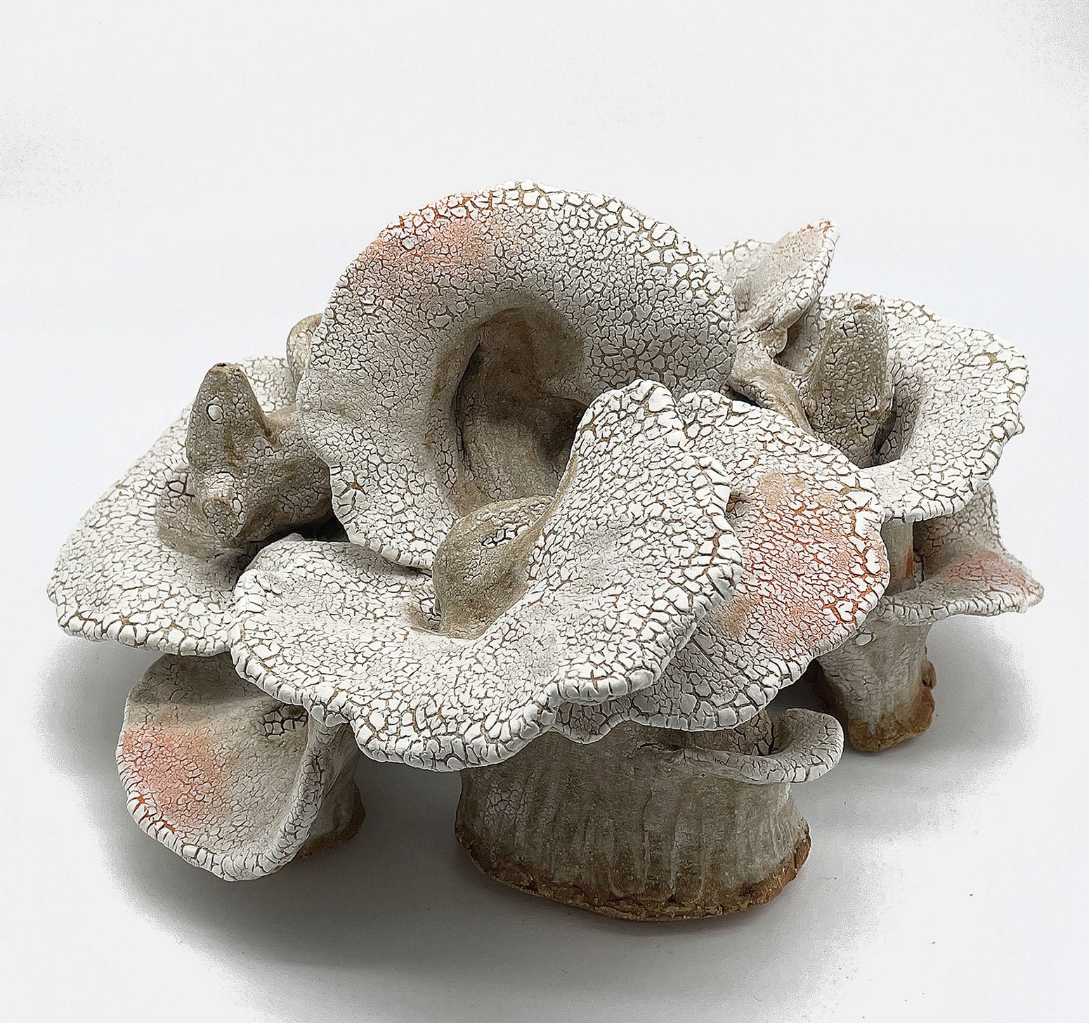   Fungal  2022  clay, glaze  7” x 12”   